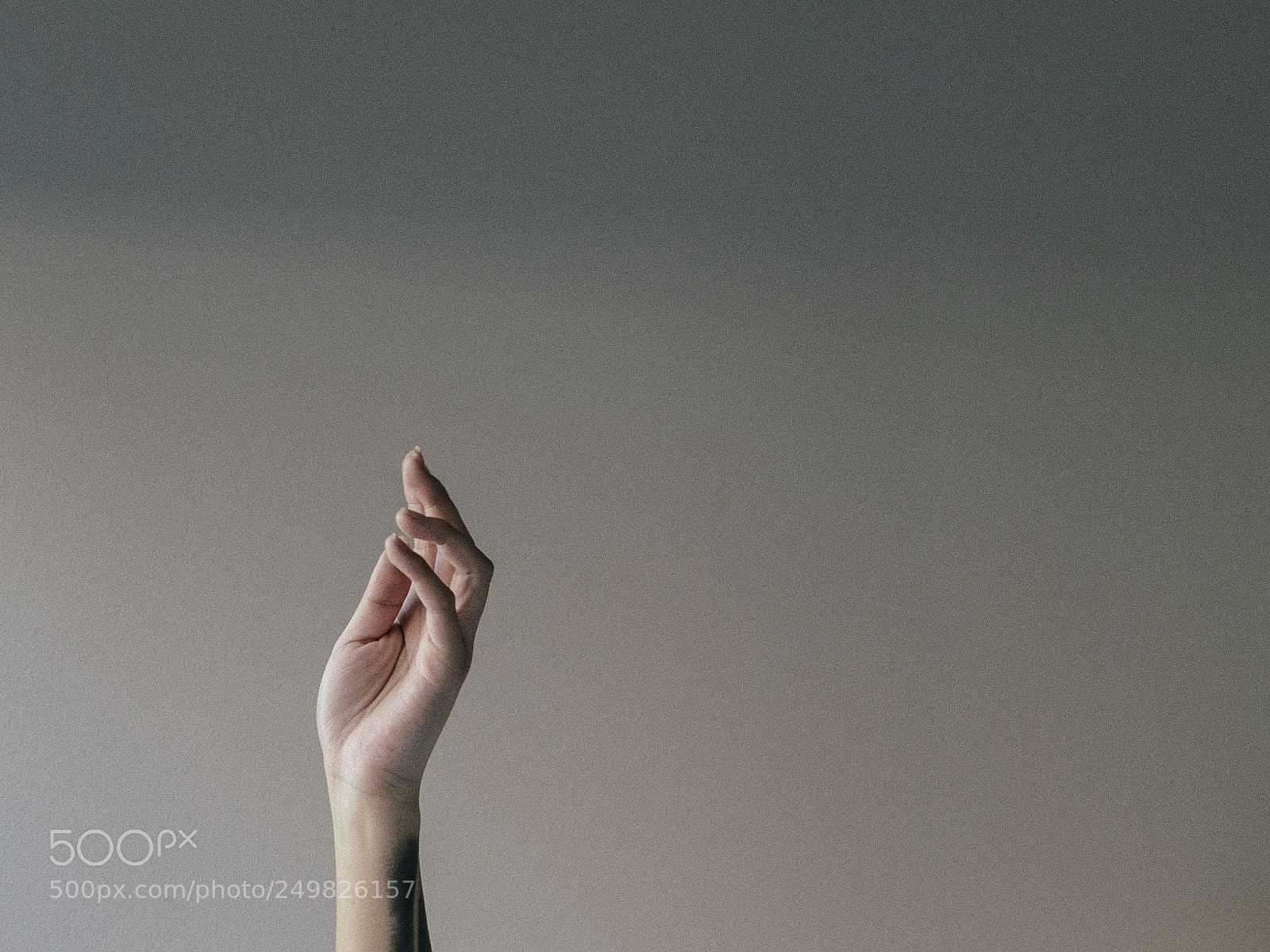 Sony a7S II sample photo. Movement, 2018 photography