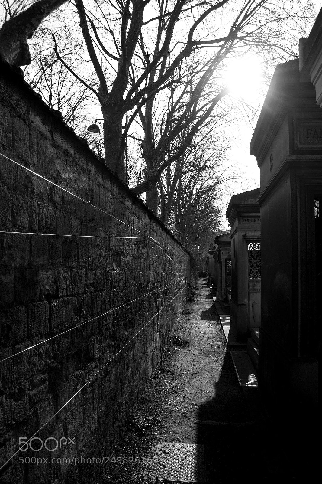 Canon EOS 600D (Rebel EOS T3i / EOS Kiss X5) sample photo. Perspective photography