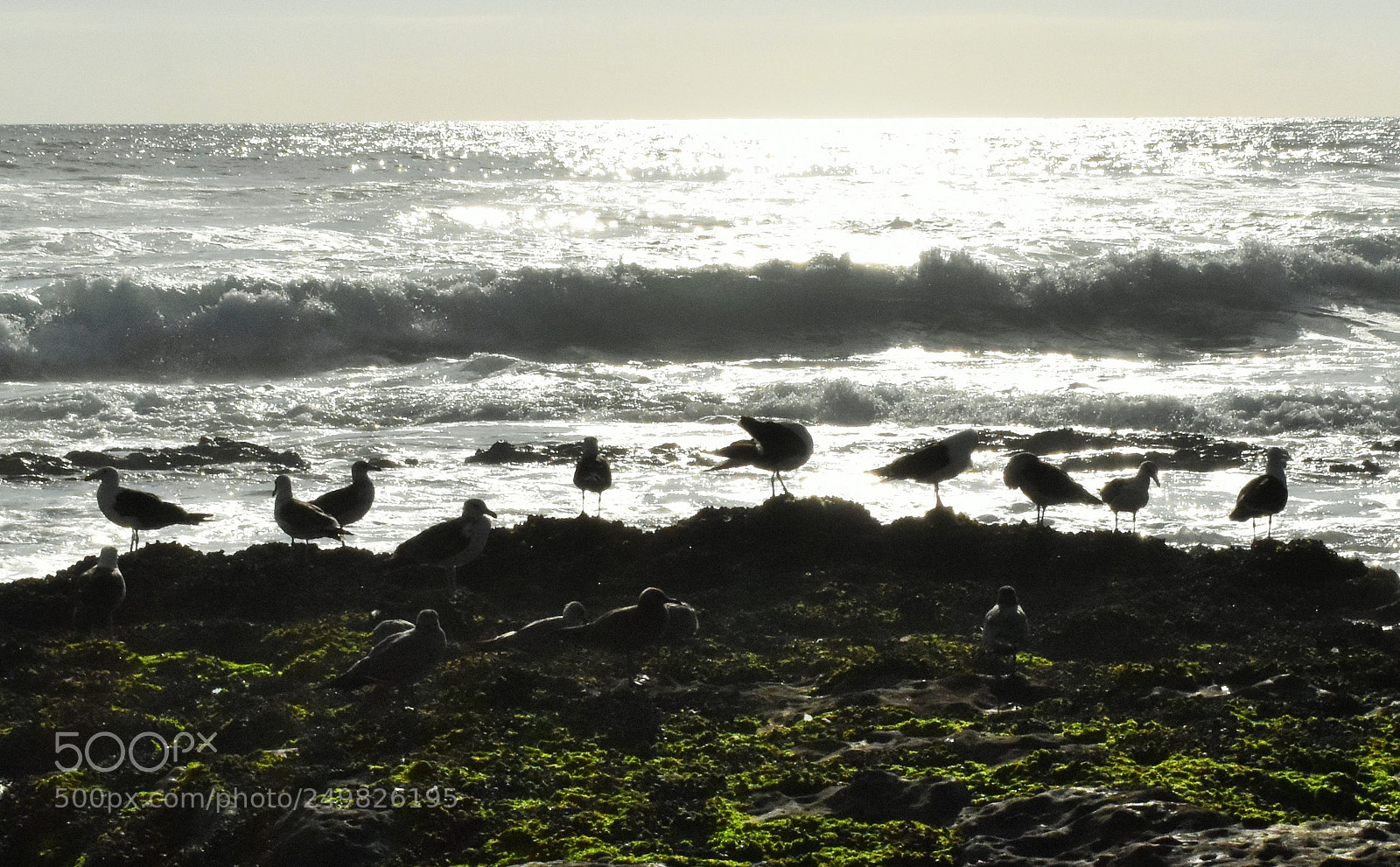 Nikon D5500 sample photo. Marina photography