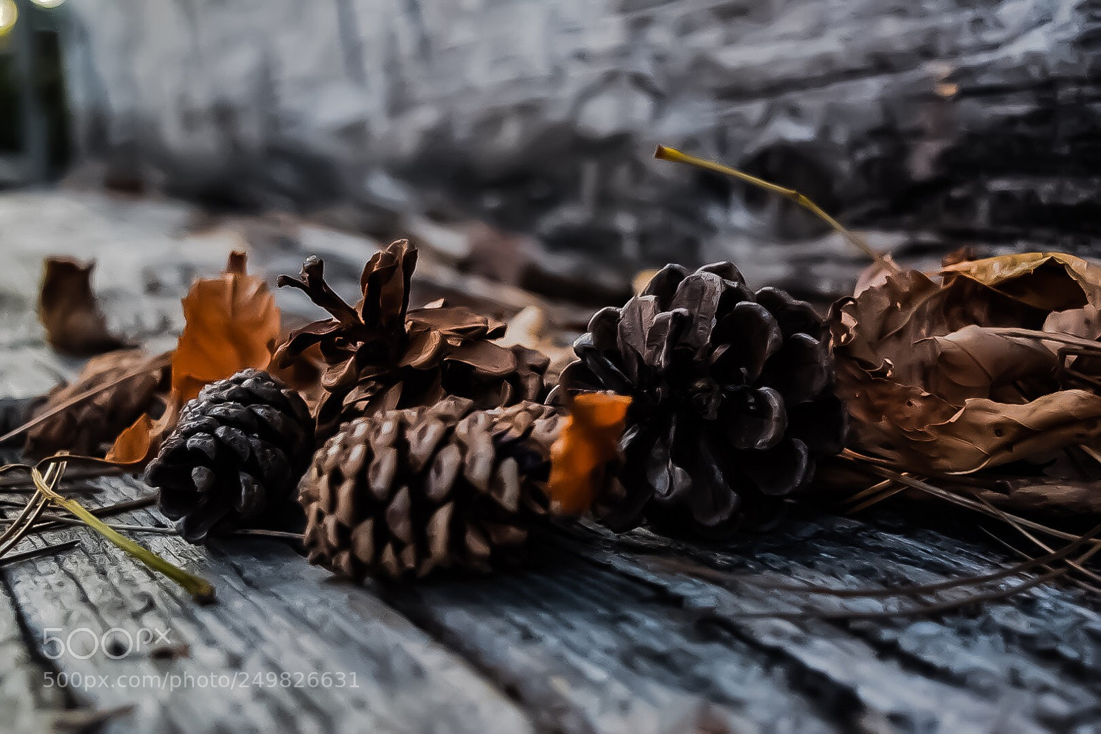 Nikon D5300 sample photo. Untitled photography