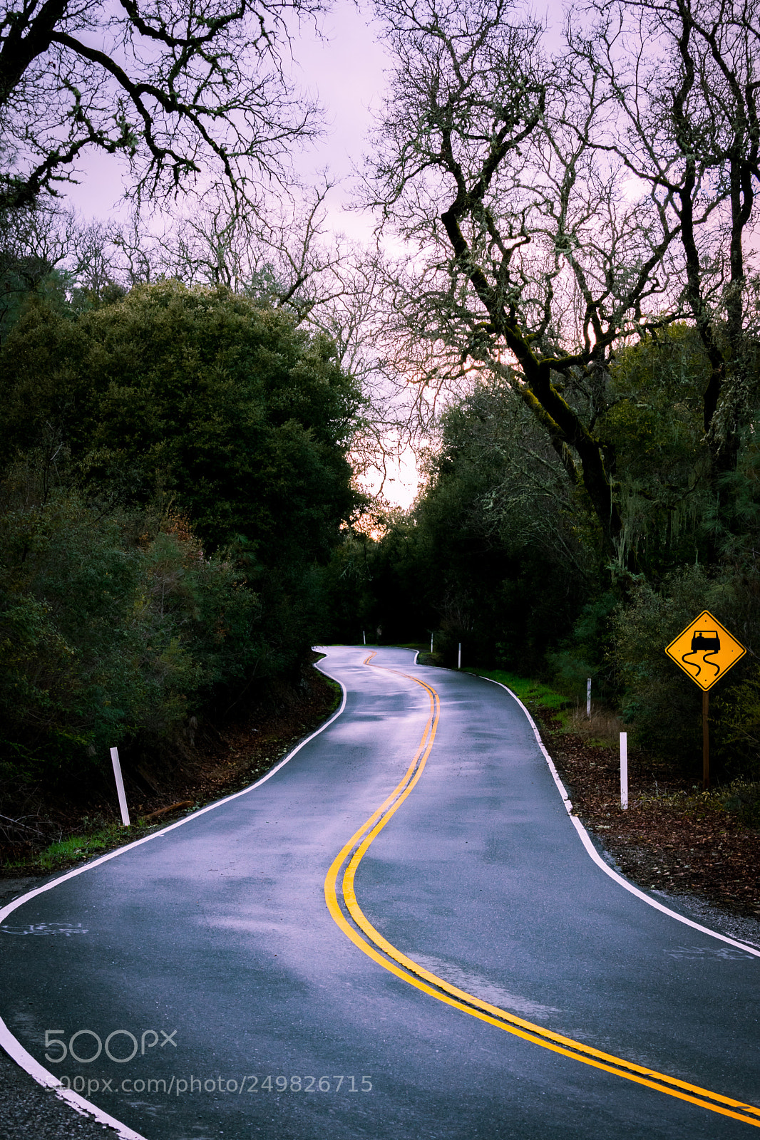 Nikon D3400 sample photo. Empty stretch of road photography