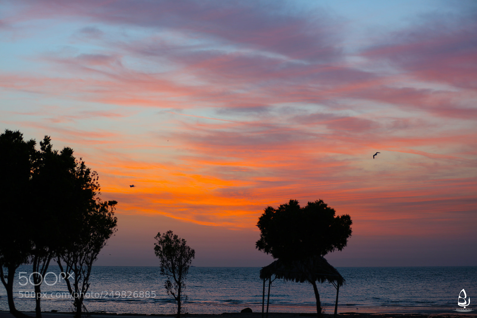 Canon EOS 5DS R sample photo. Untitled photography