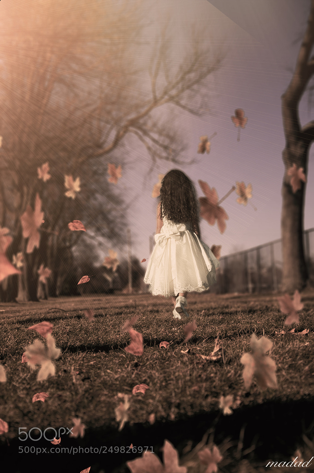 Nikon D90 sample photo. Untitled photography