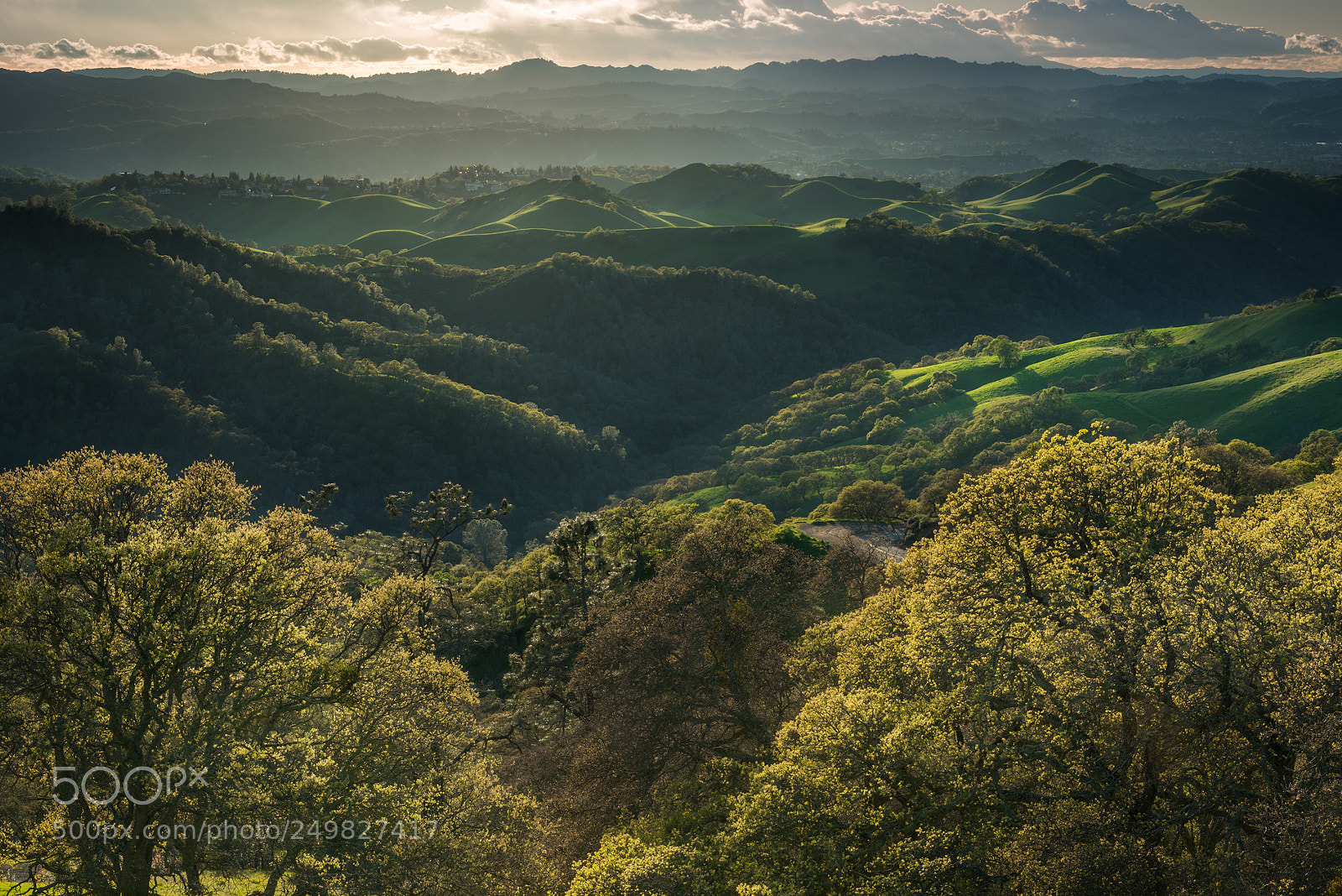 Nikon D800 sample photo. Mount diablo spring photography