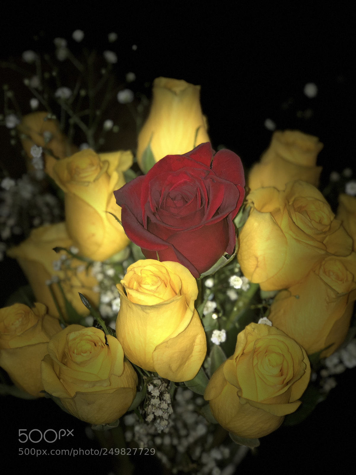 Apple iPhone 8 Plus sample photo. V photography