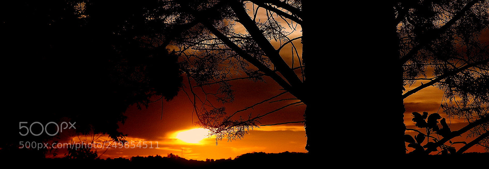 Fujifilm FinePix SL1000 sample photo. Day end .... photography