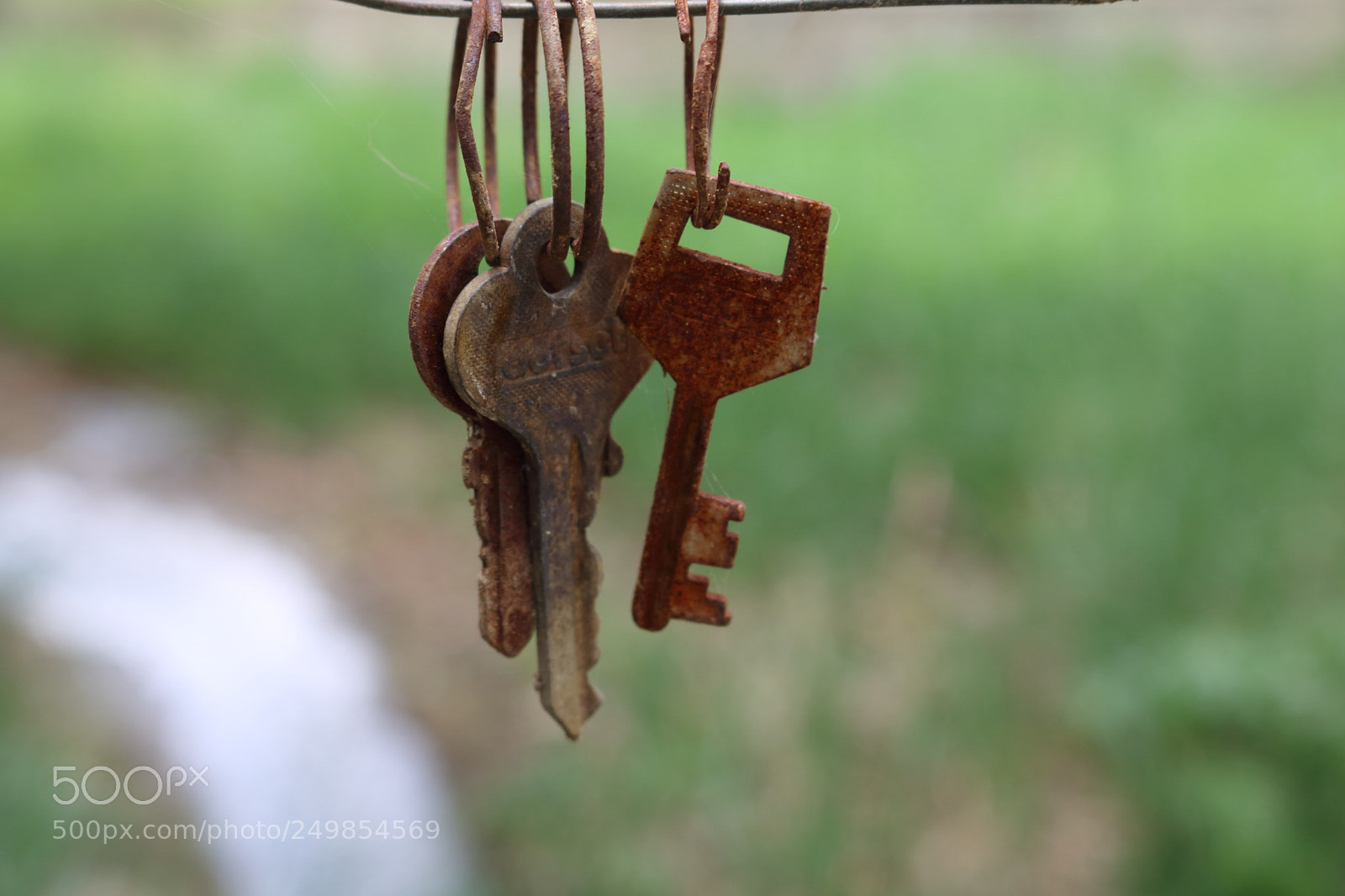 Canon EOS 750D (EOS Rebel T6i / EOS Kiss X8i) sample photo. Rusted key’s photography