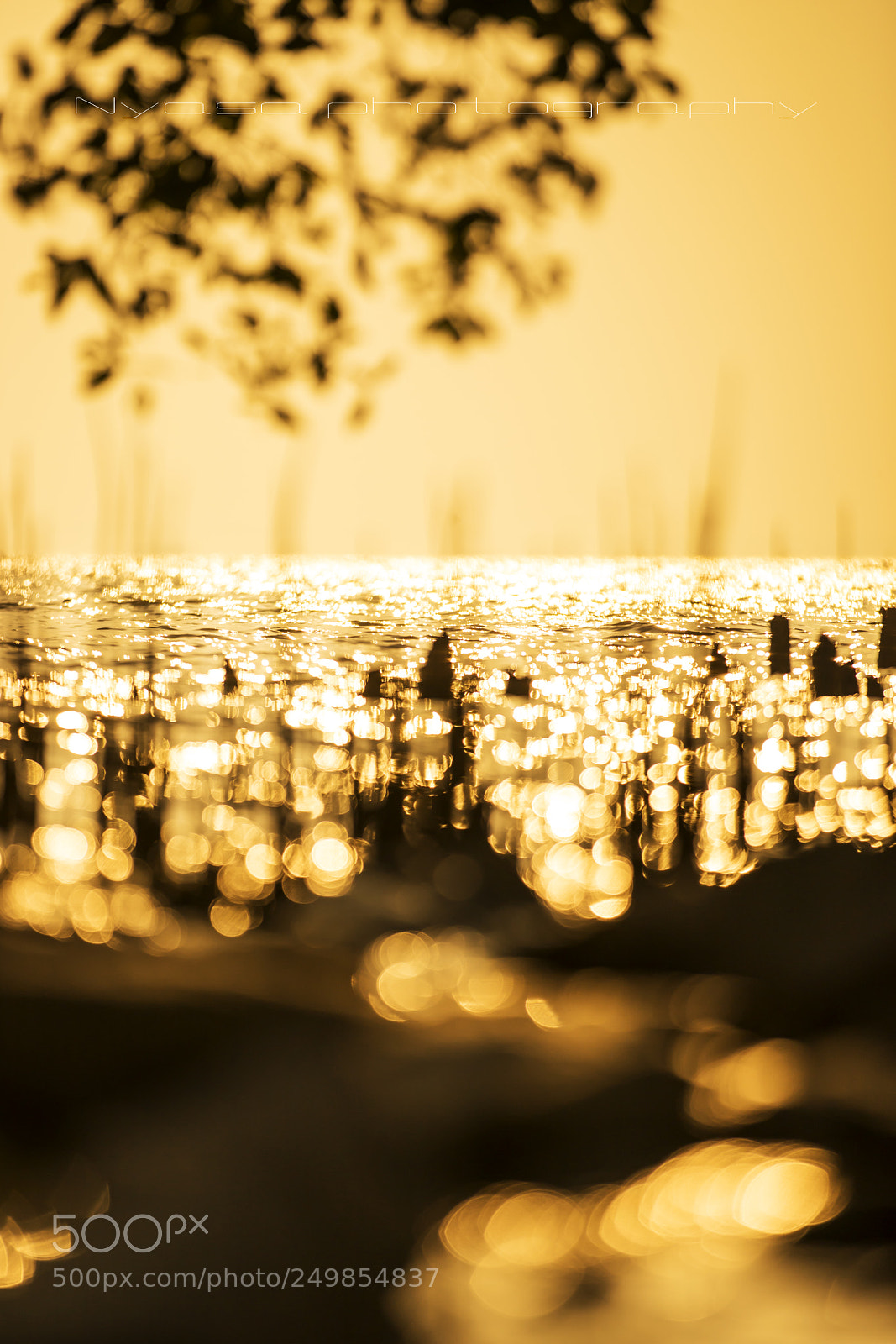 Canon EOS 6D Mark II sample photo. The flow of water photography