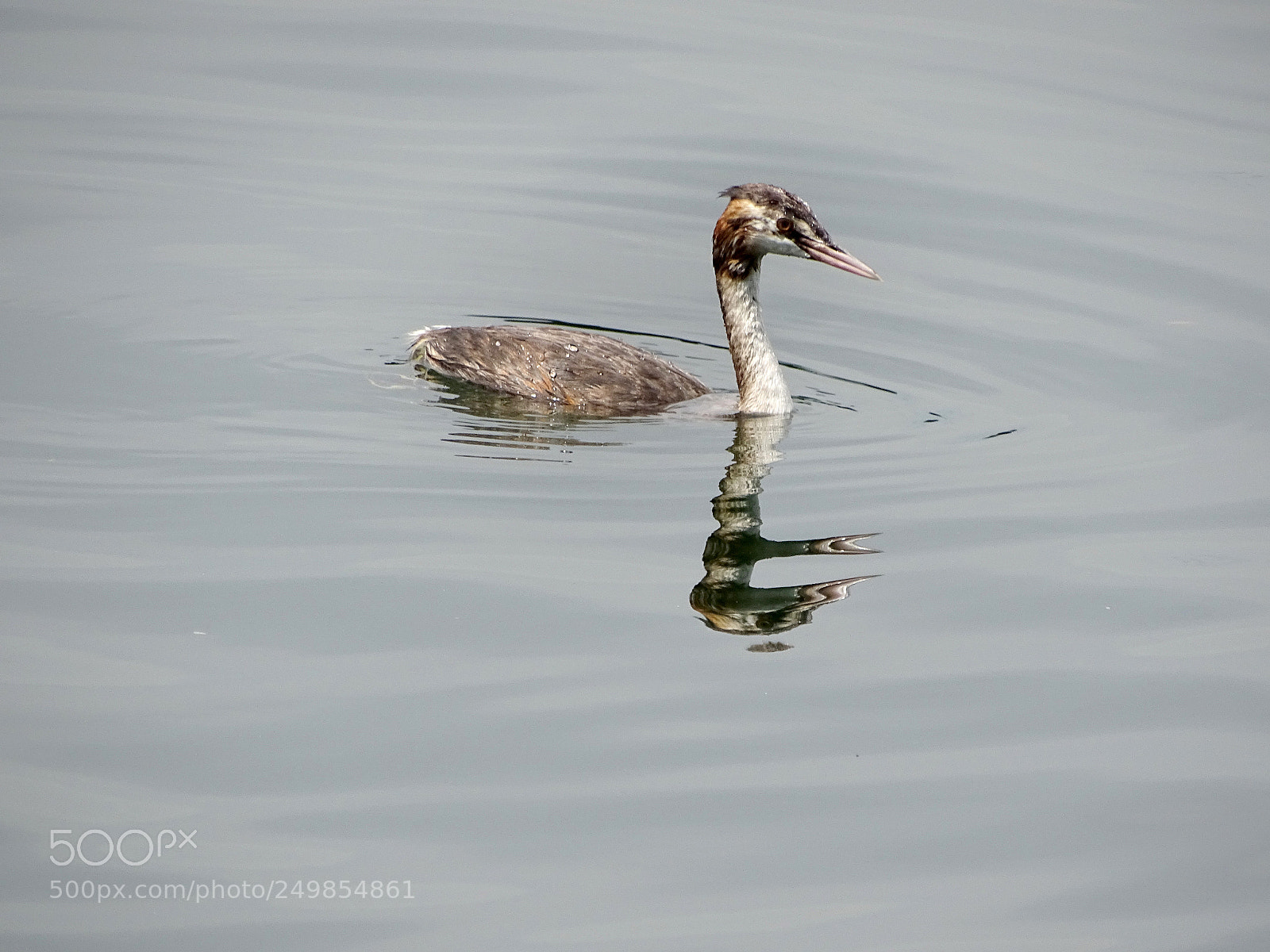 Sony Cyber-shot DSC-HX400V sample photo. ... photography