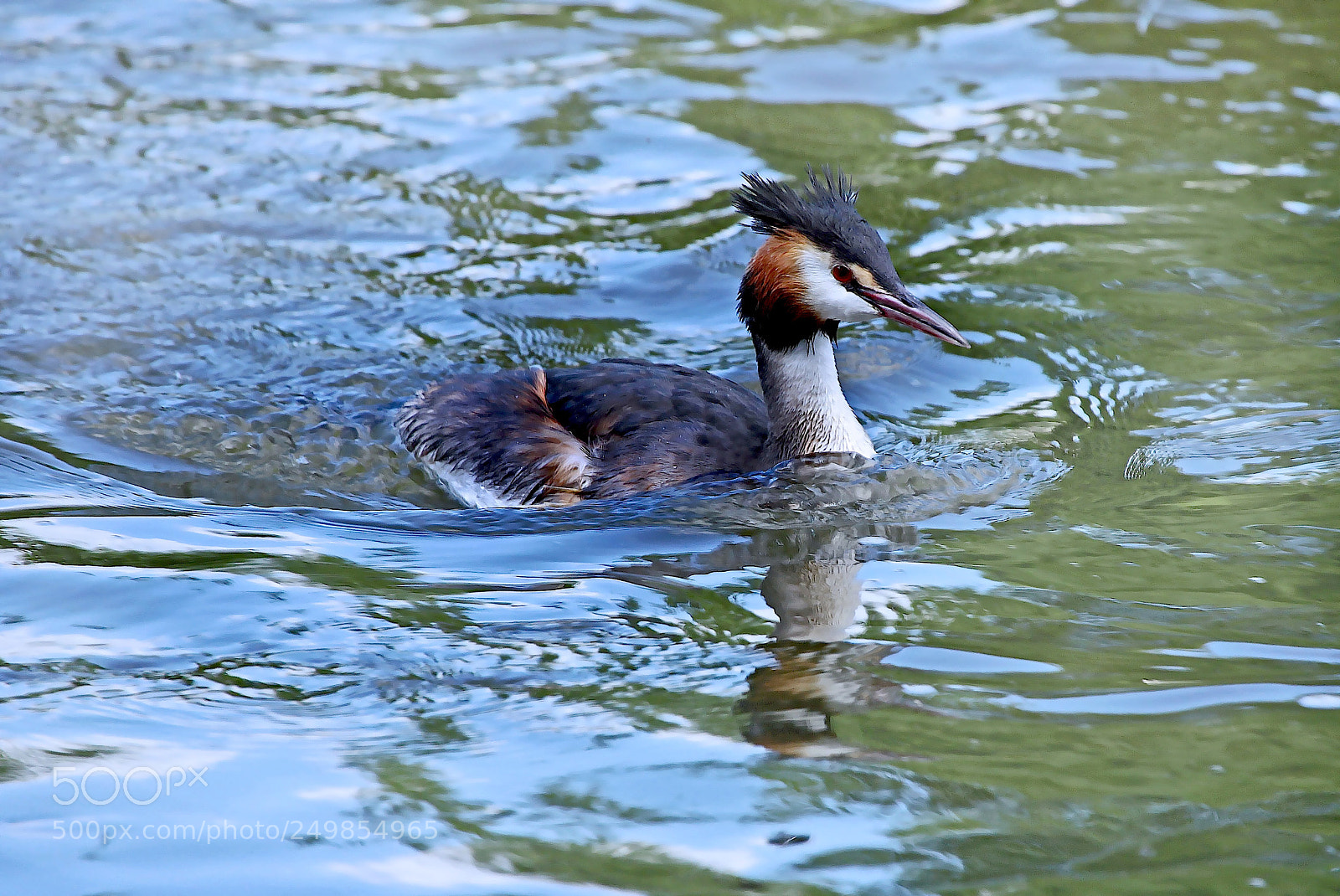 Canon EOS 50D sample photo. ... photography