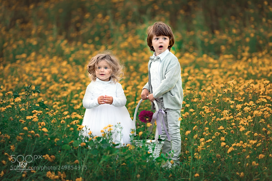 Canon EOS 6D Mark II sample photo. Web photography