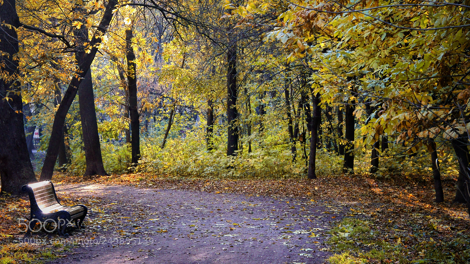 Sony SLT-A35 sample photo. Осень в парке photography