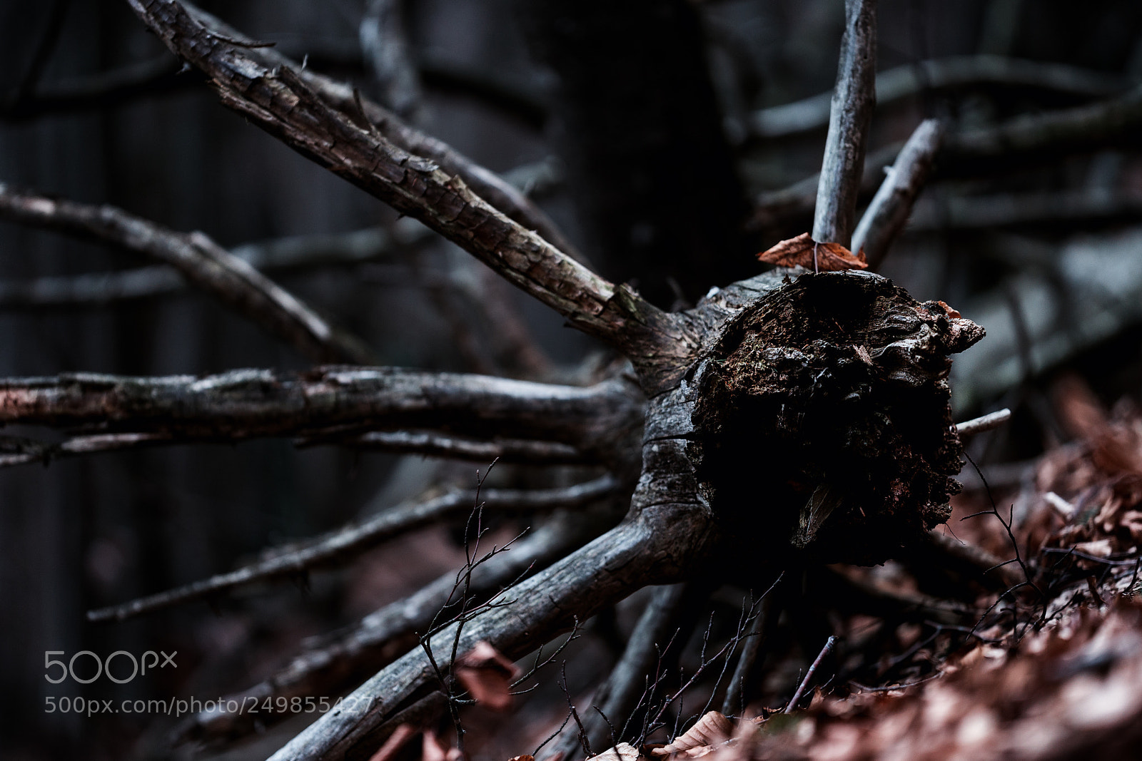 Sony SLT-A99V sample photo. Dark star photography