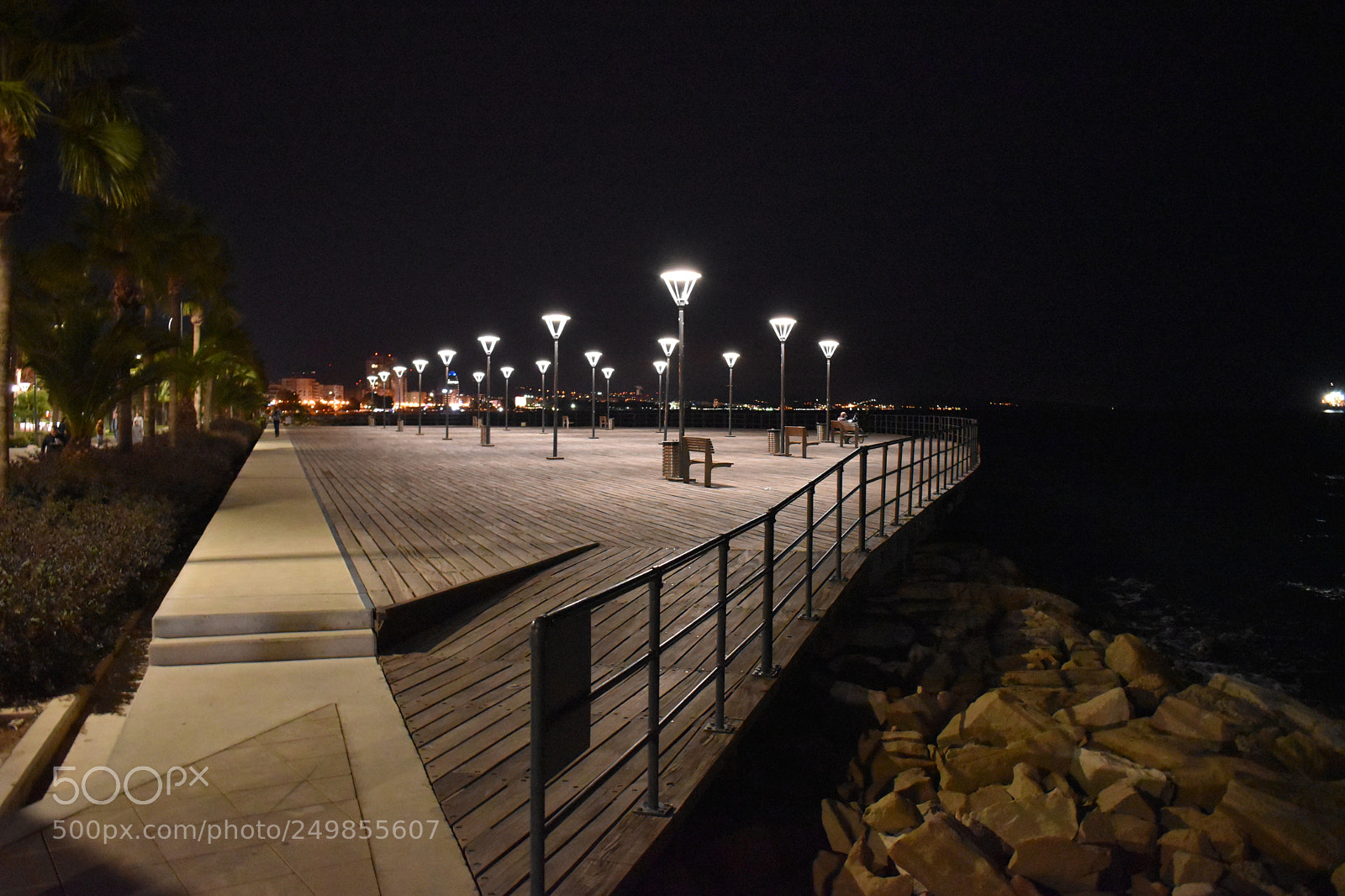 Nikon D5600 sample photo. A walk by the photography