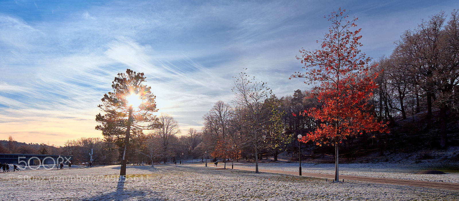 Fujifilm X-T10 sample photo. Slottskogen - samyang 12mm photography