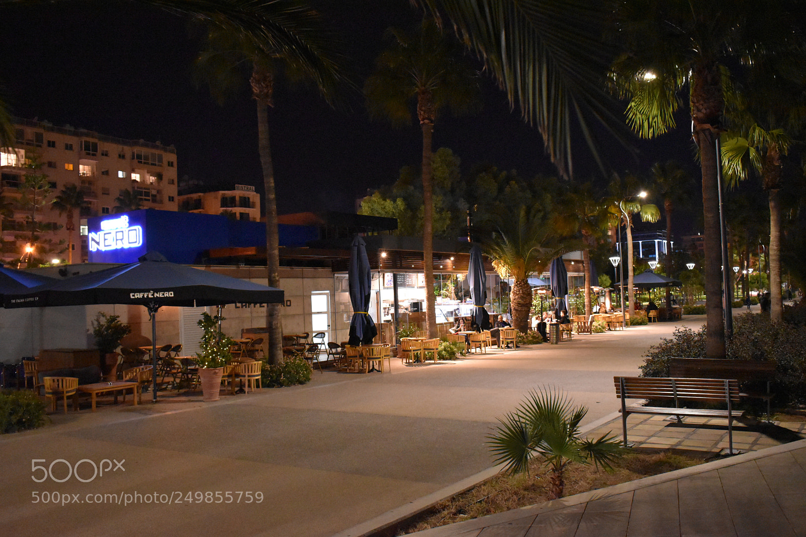 Nikon D5600 sample photo. A walk by the photography