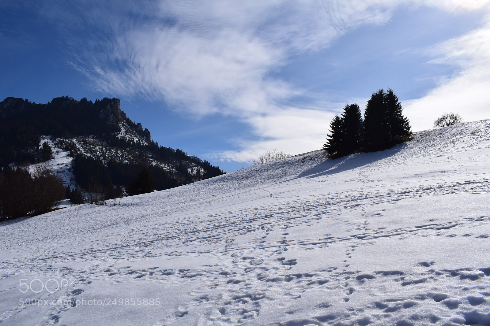 Nikon D3300 sample photo. Champ d'hiver photography
