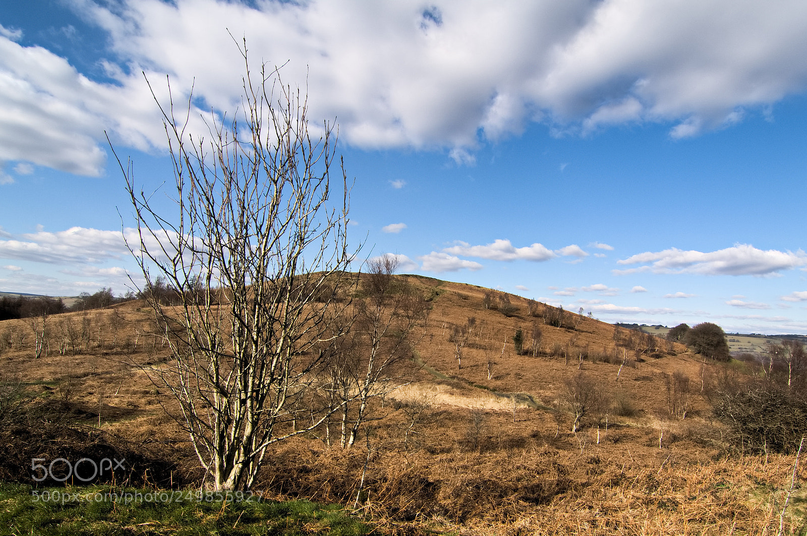 Nikon D2X sample photo. Hill top photography