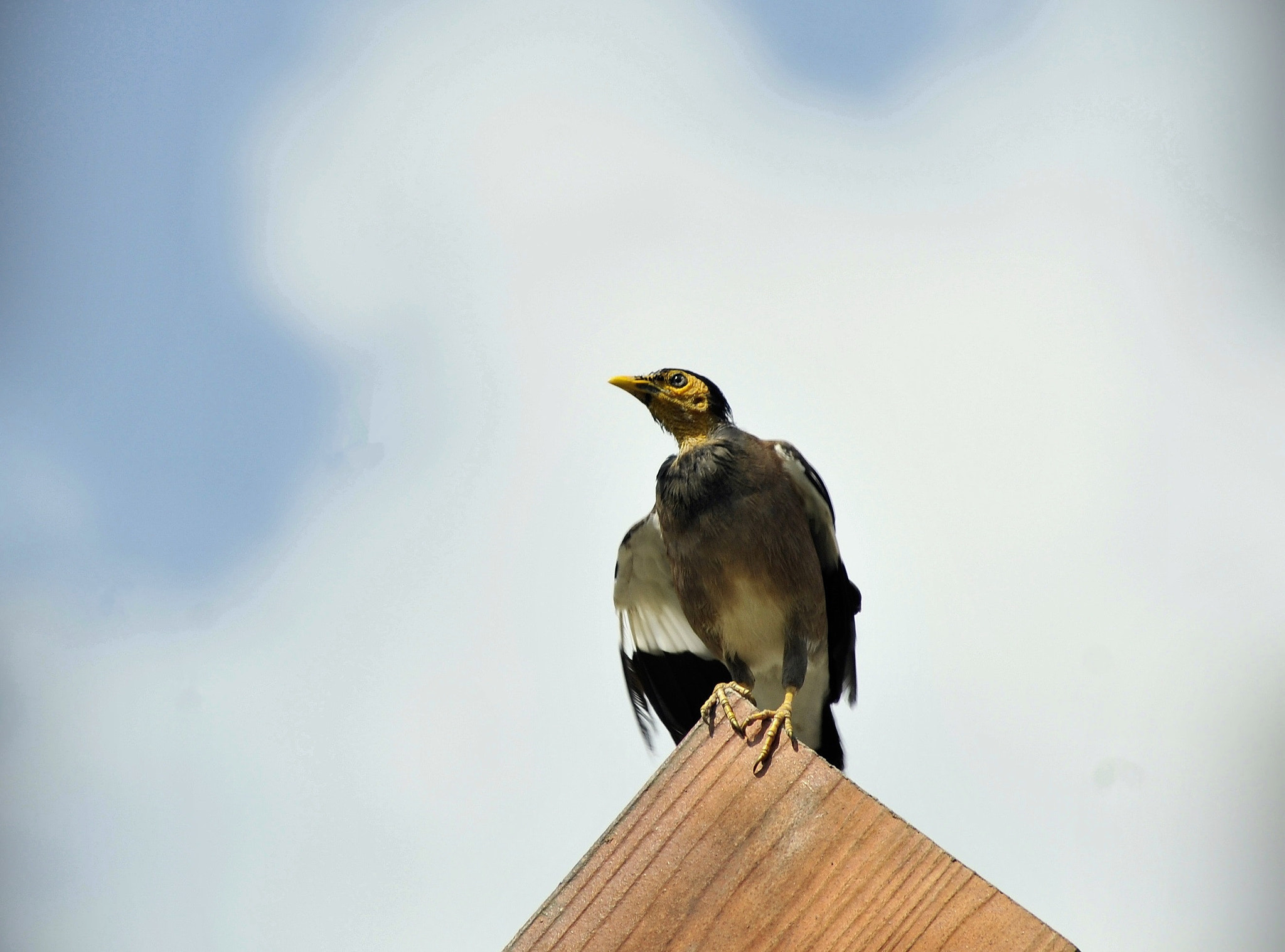 Nikon AF Nikkor 70-300mm F4-5.6G sample photo. 眺望 .... photography
