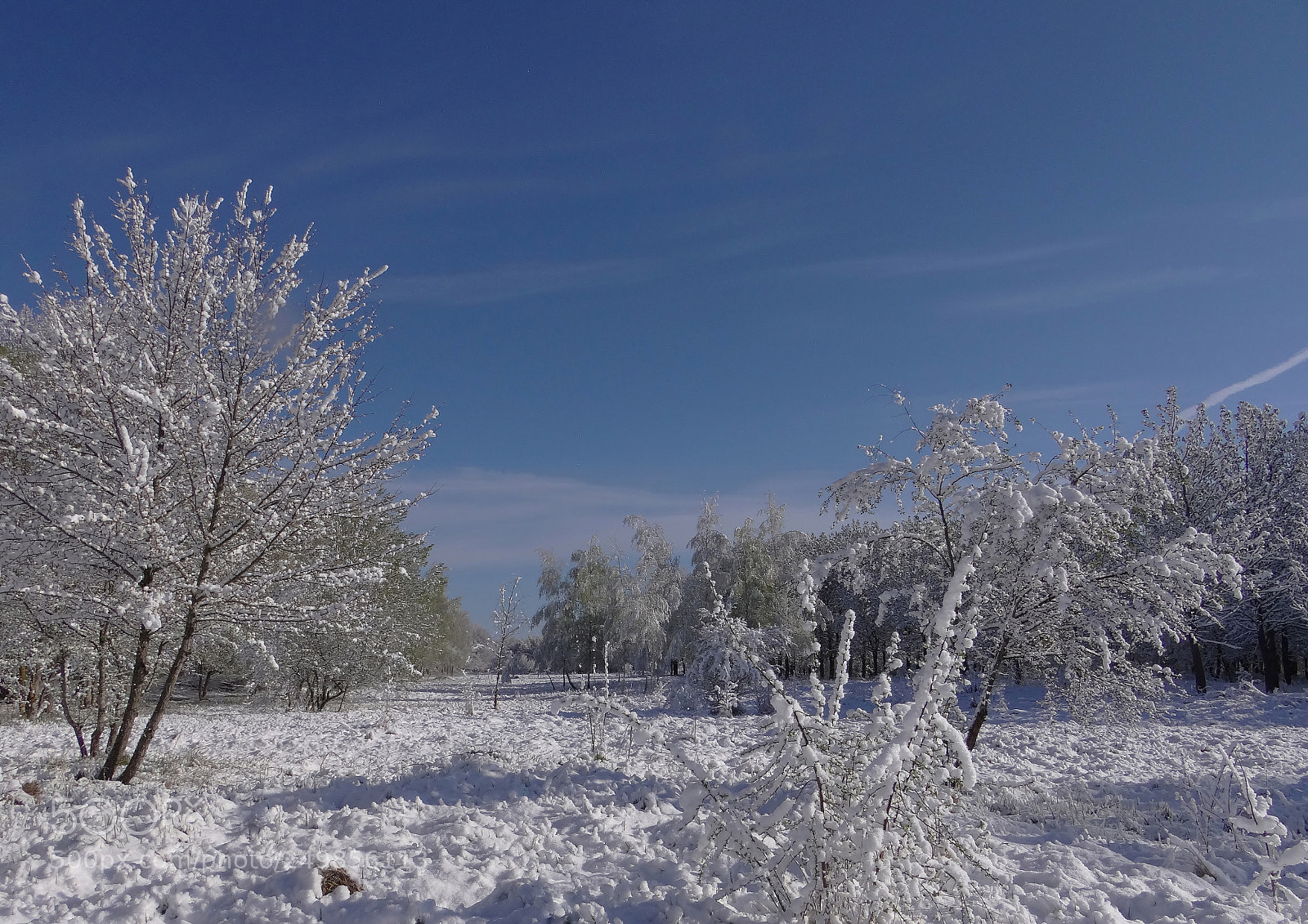 Sony DSC-HX200V sample photo. Last snow in spring photography