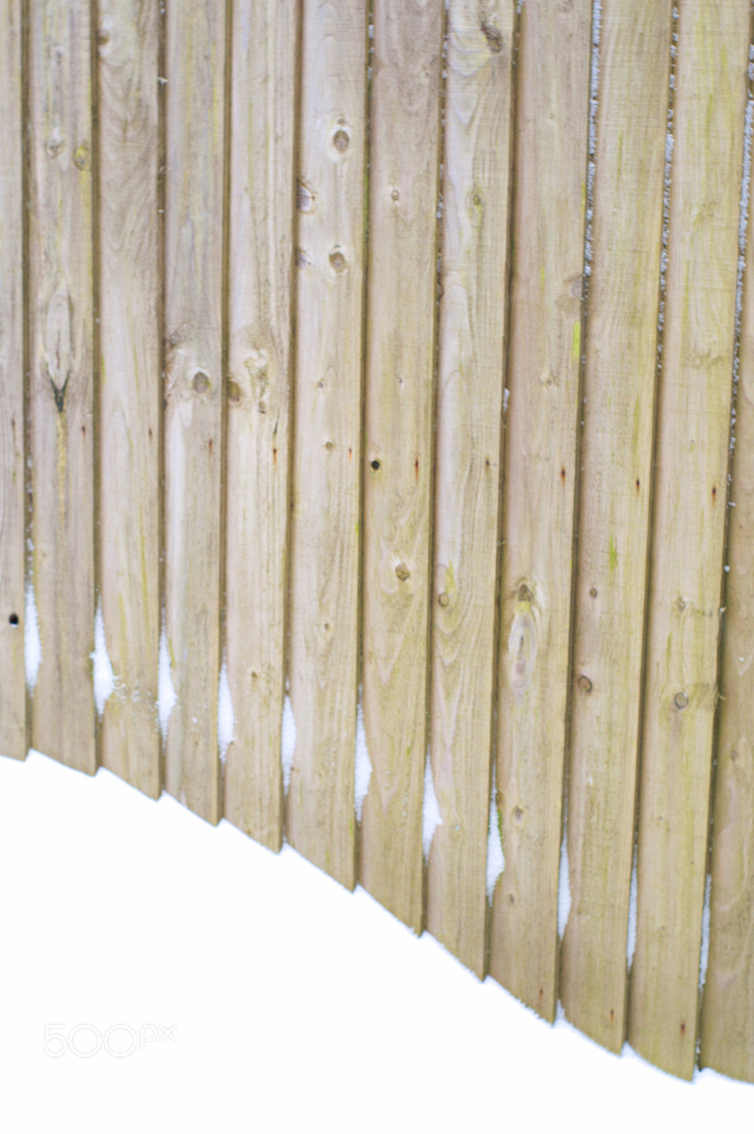 Nikon D3200 sample photo. Fence photography