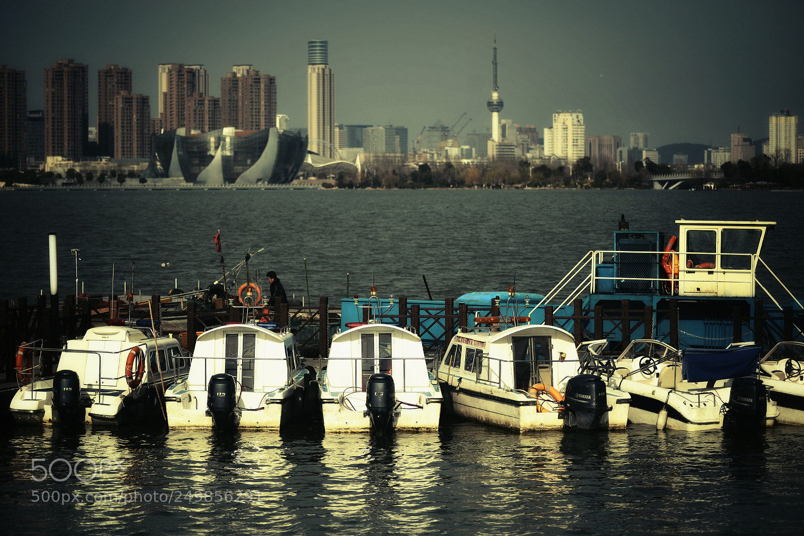 Nikon D800 sample photo. Untitled photography
