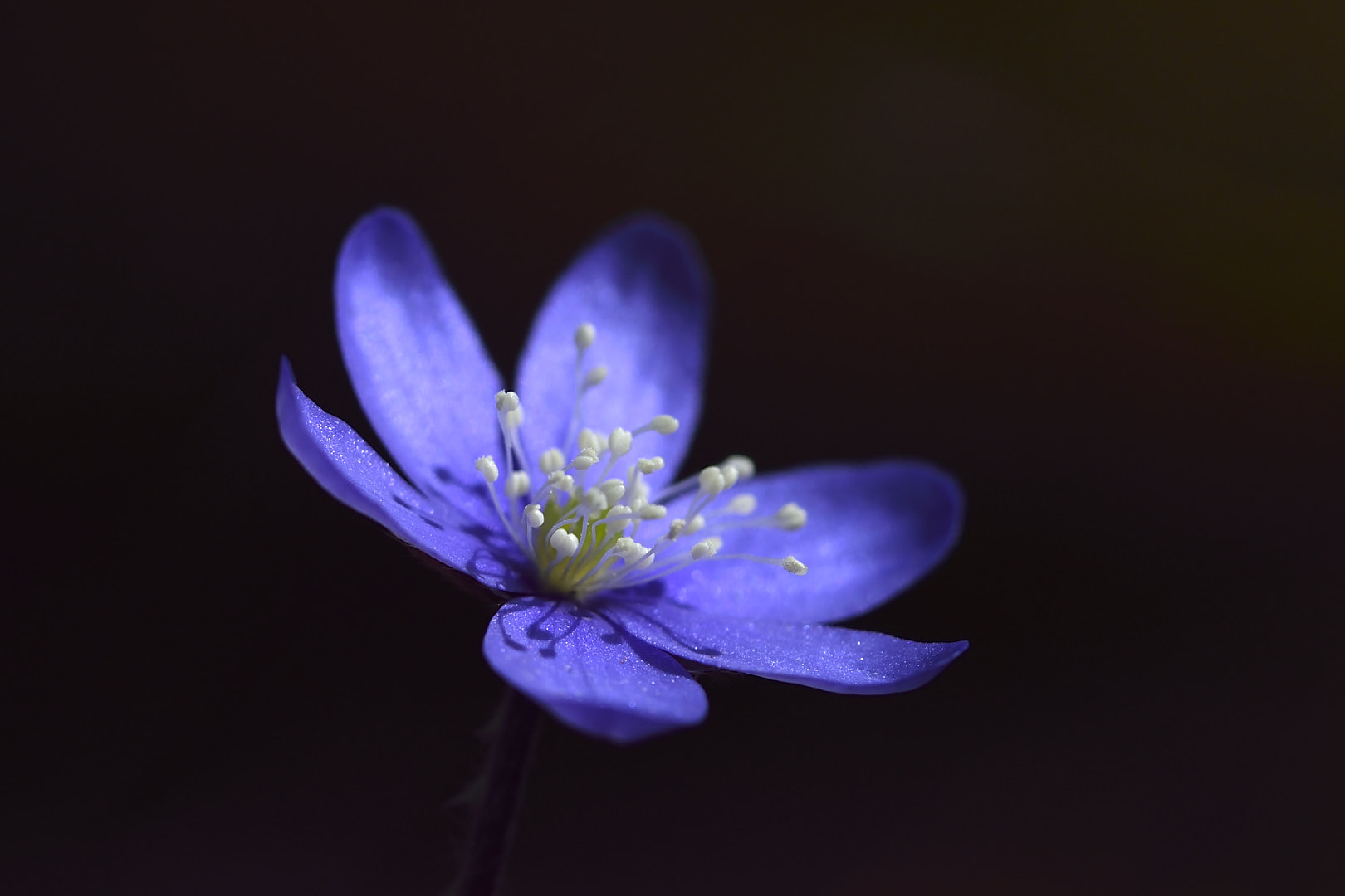 Nikon D5300 sample photo. Raie de lumière photography