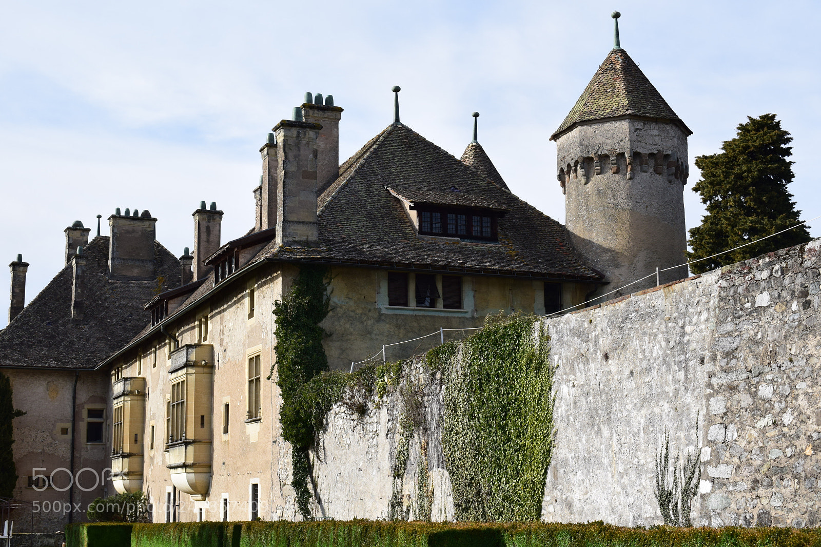 Nikon D3300 sample photo. Château de ripaille photography