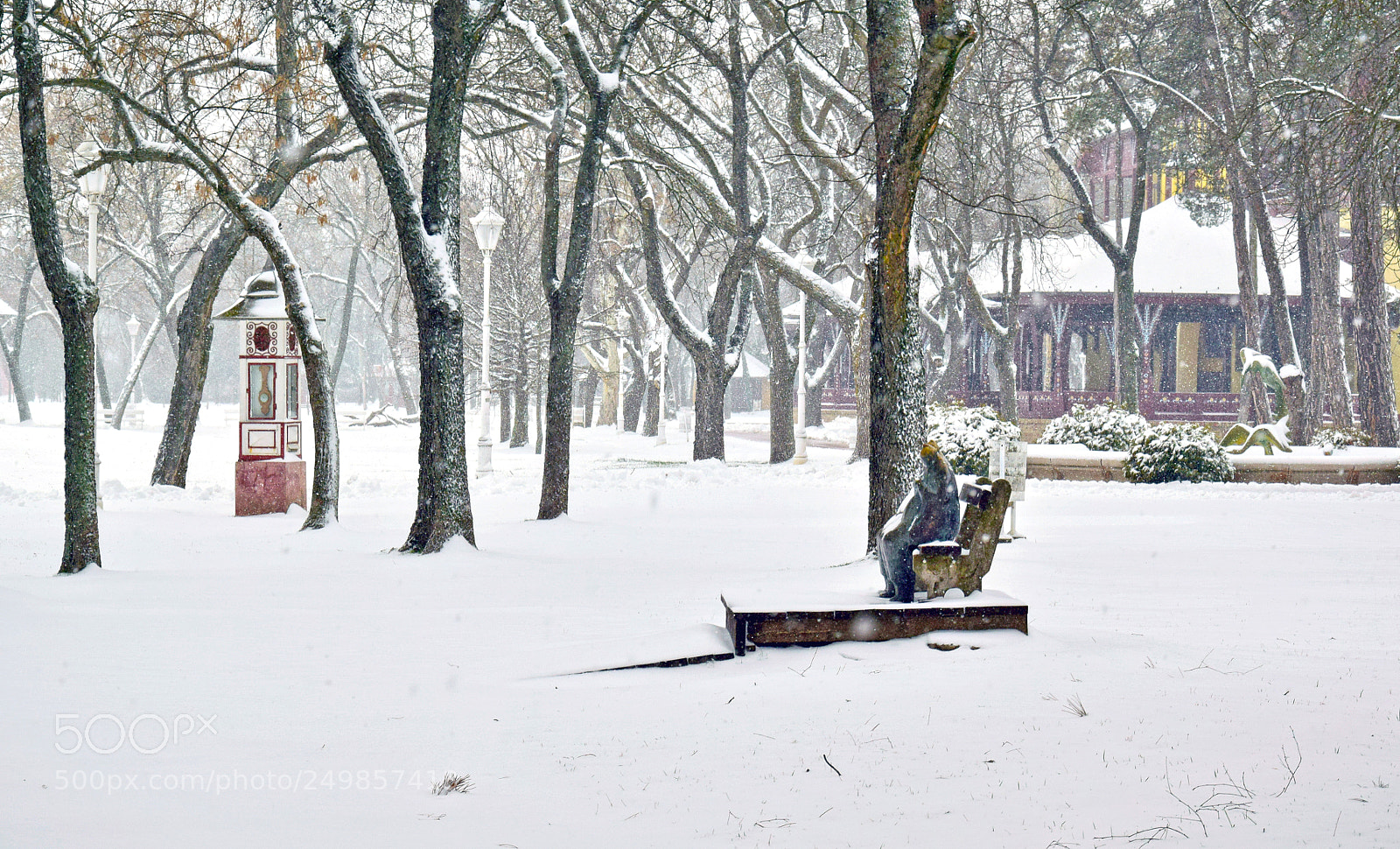 Nikon D3300 sample photo. Winter is back photography