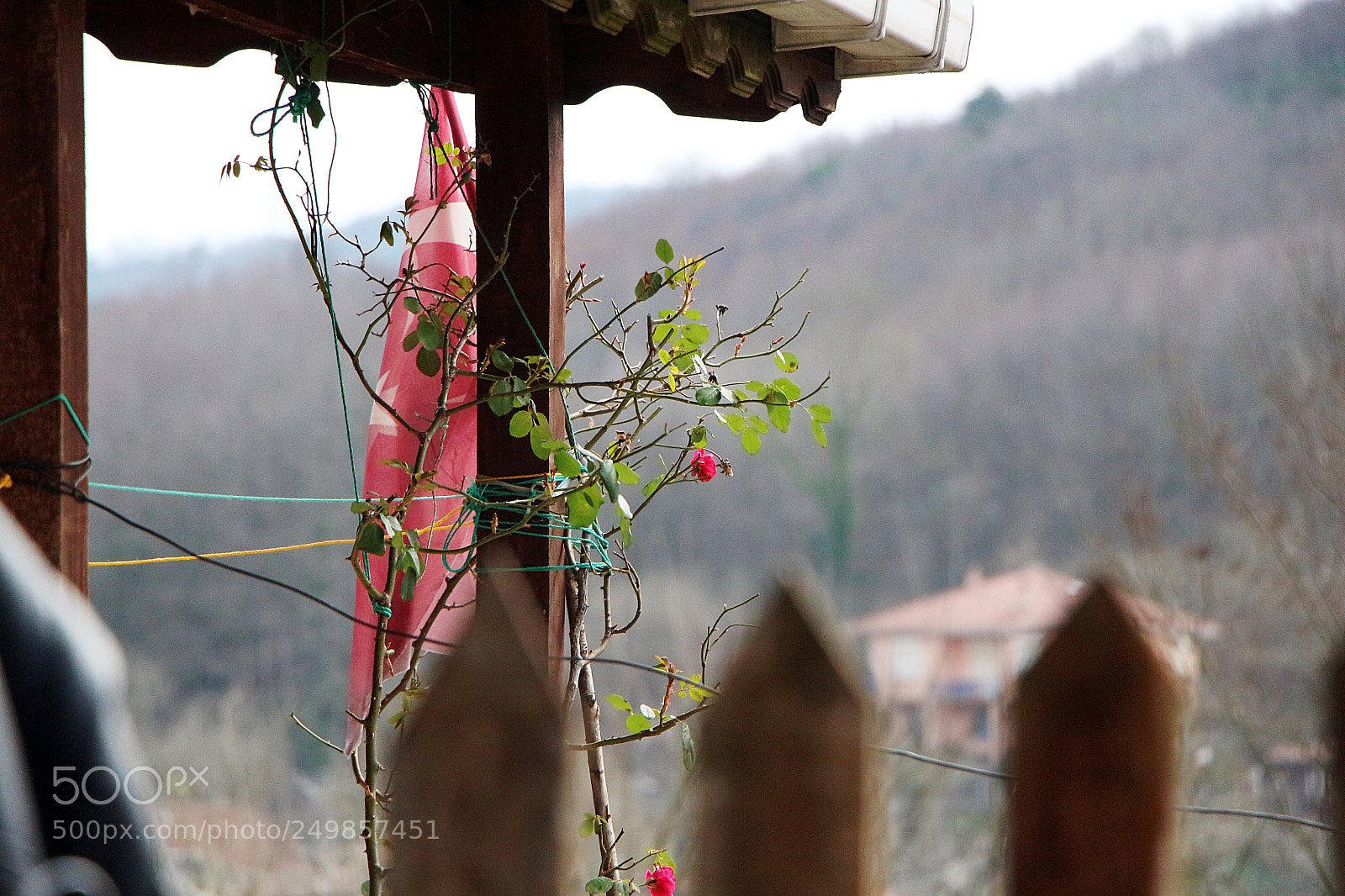 Canon EOS 700D (EOS Rebel T5i / EOS Kiss X7i) sample photo. Doğa .. photography