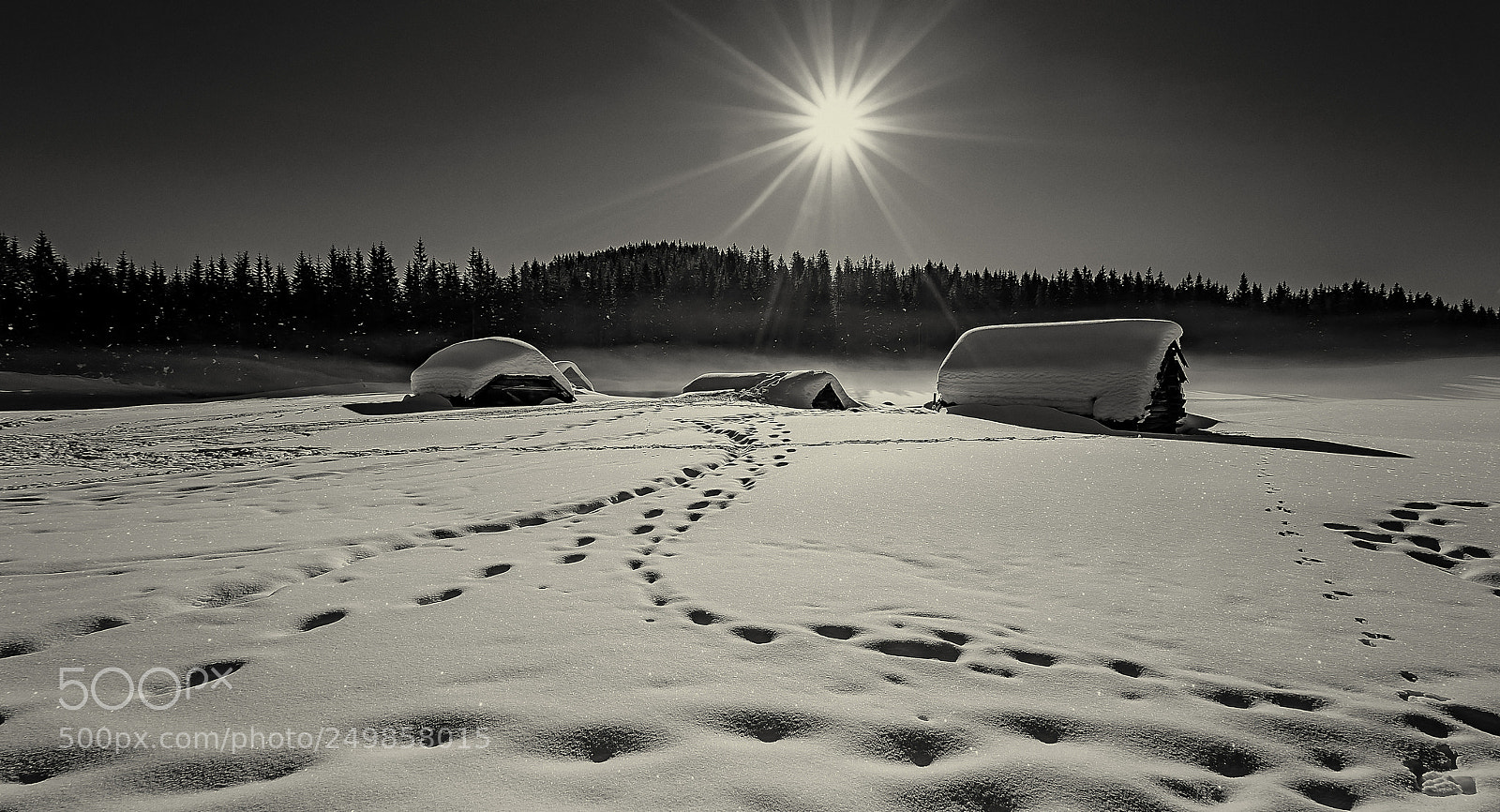 Sony ILCA-77M2 sample photo. In deep snow photography