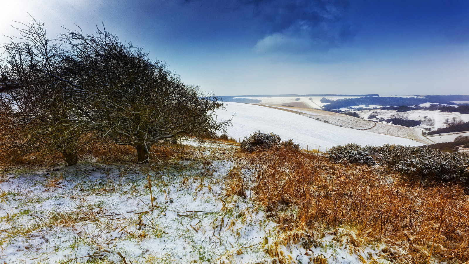 Canon EOS 5DS sample photo. A winter snow shower photography