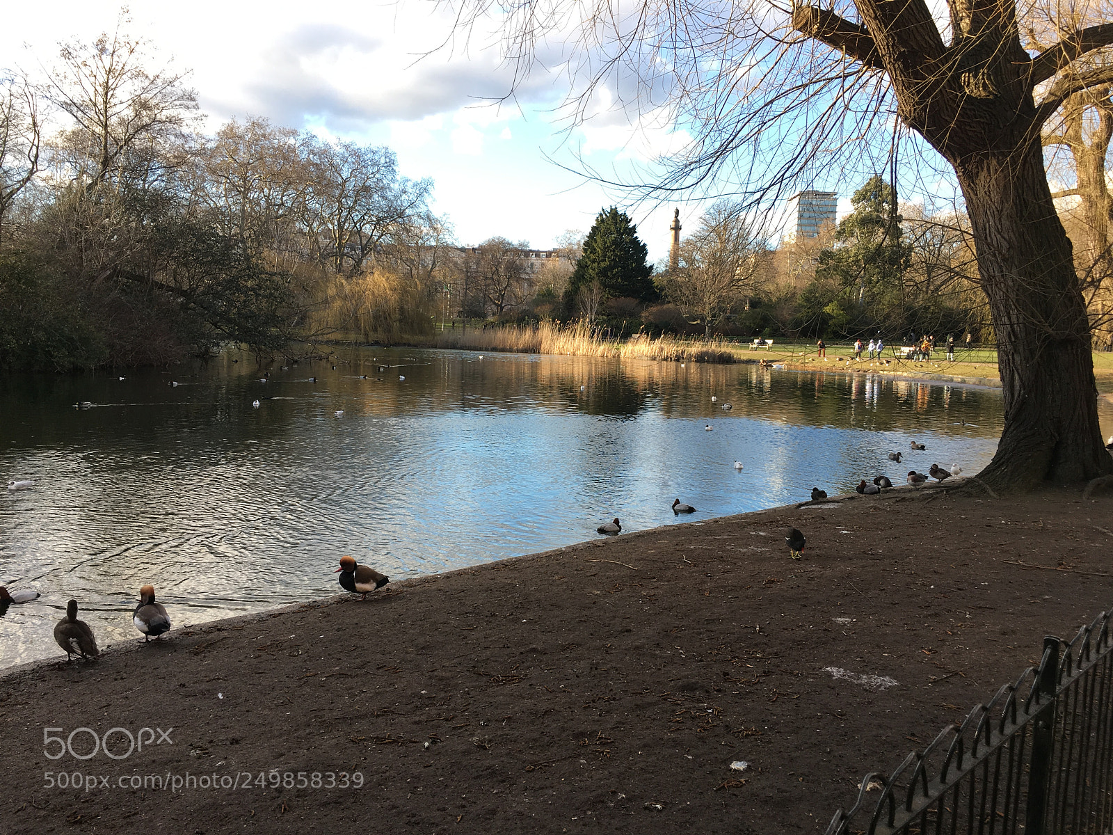 Apple iPhone 6s sample photo. So calm photography