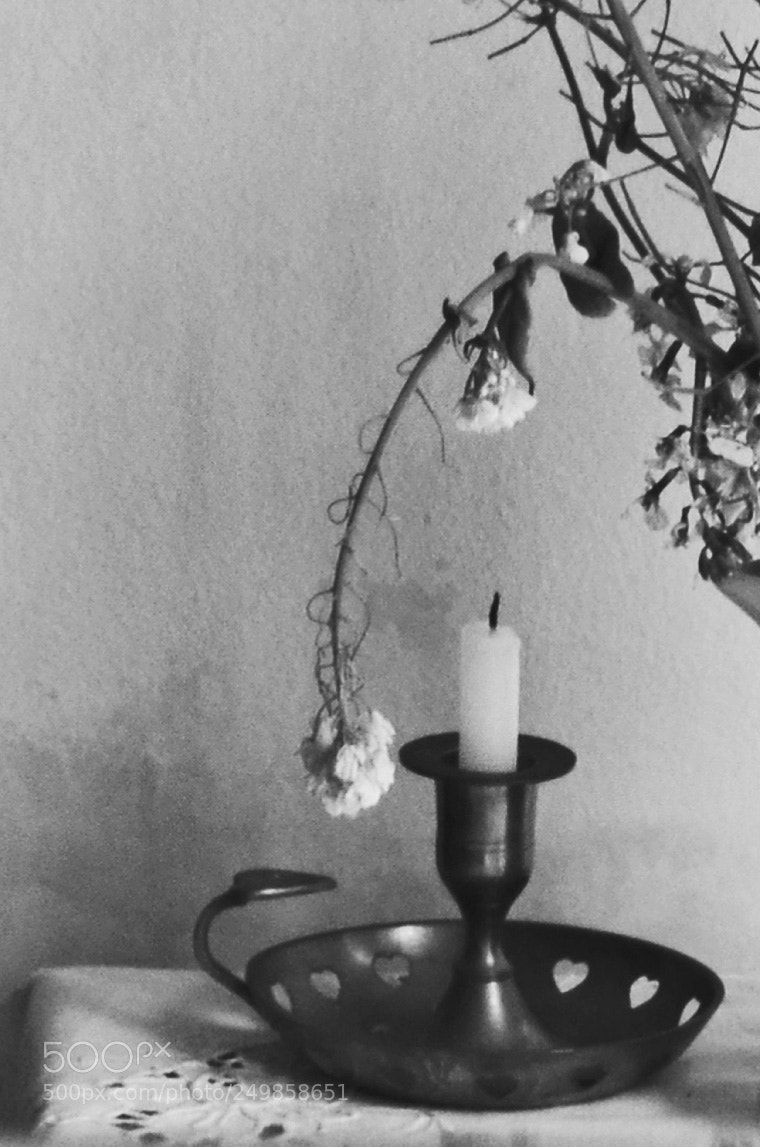 Nikon D5100 sample photo. Candle and fading flowers photography