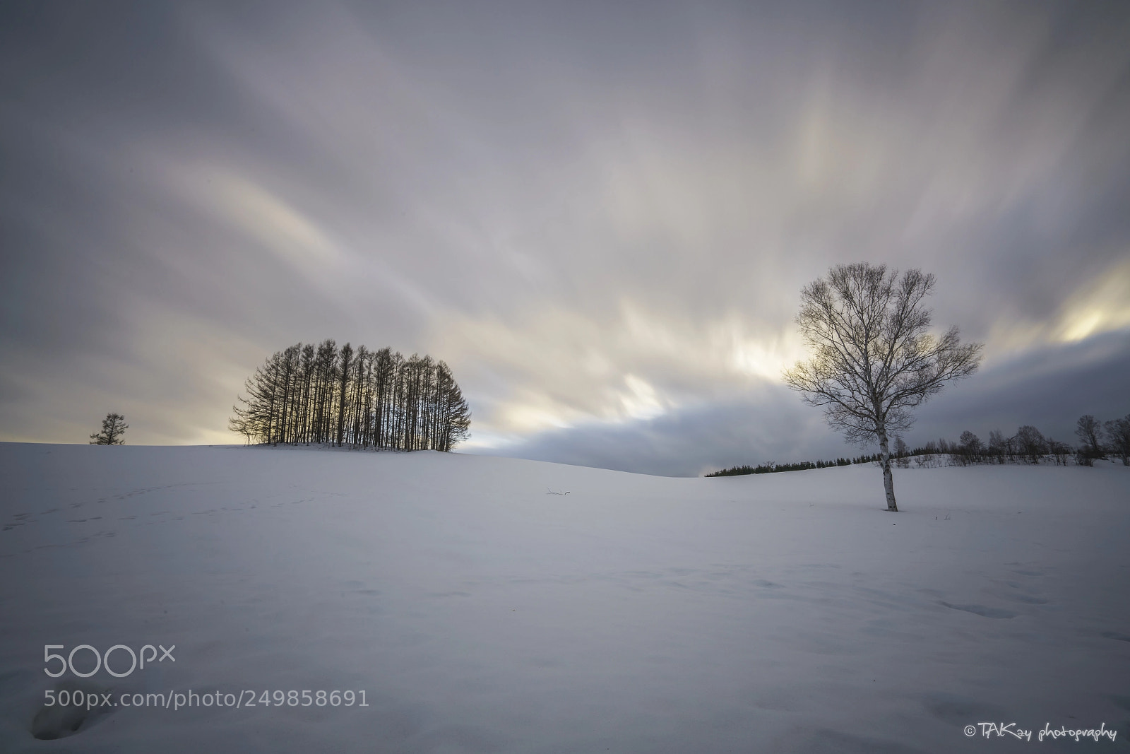 Sony a7R II sample photo. Mildseven hill of biei photography