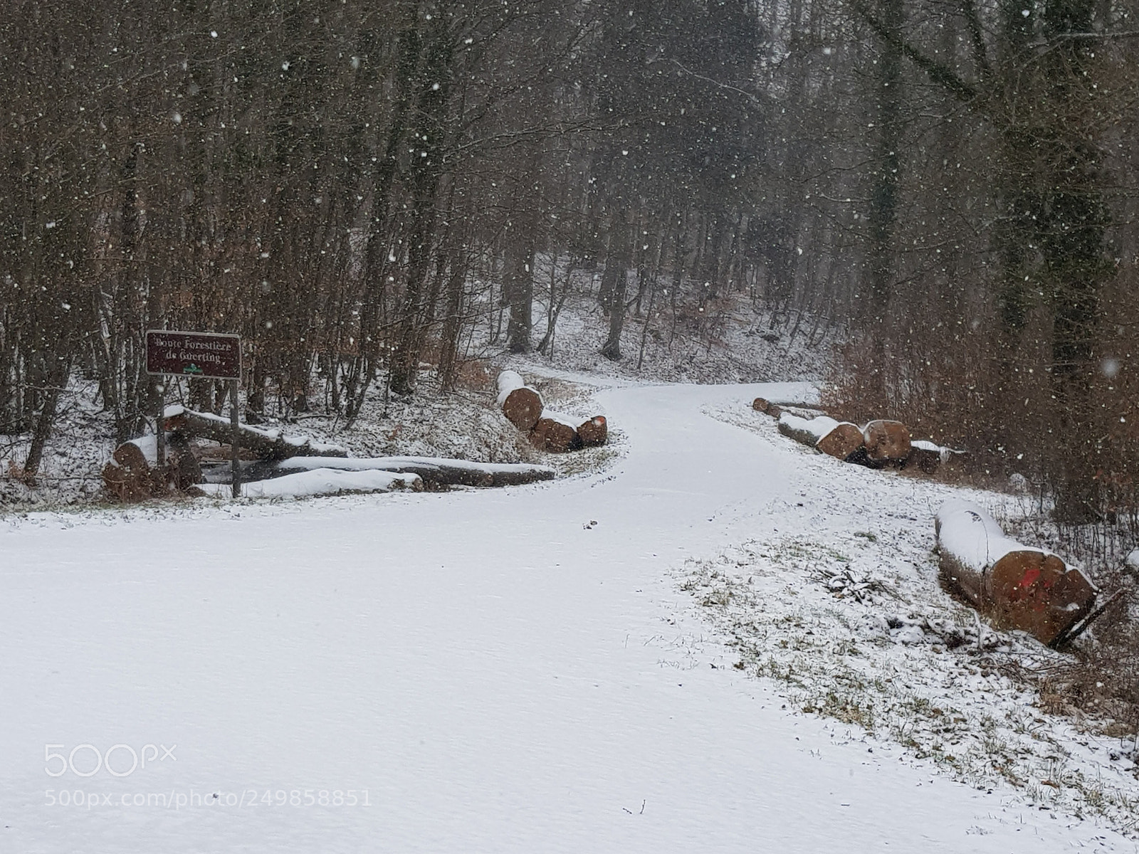 Samsung Galaxy S8 sample photo. Il a neig ce photography
