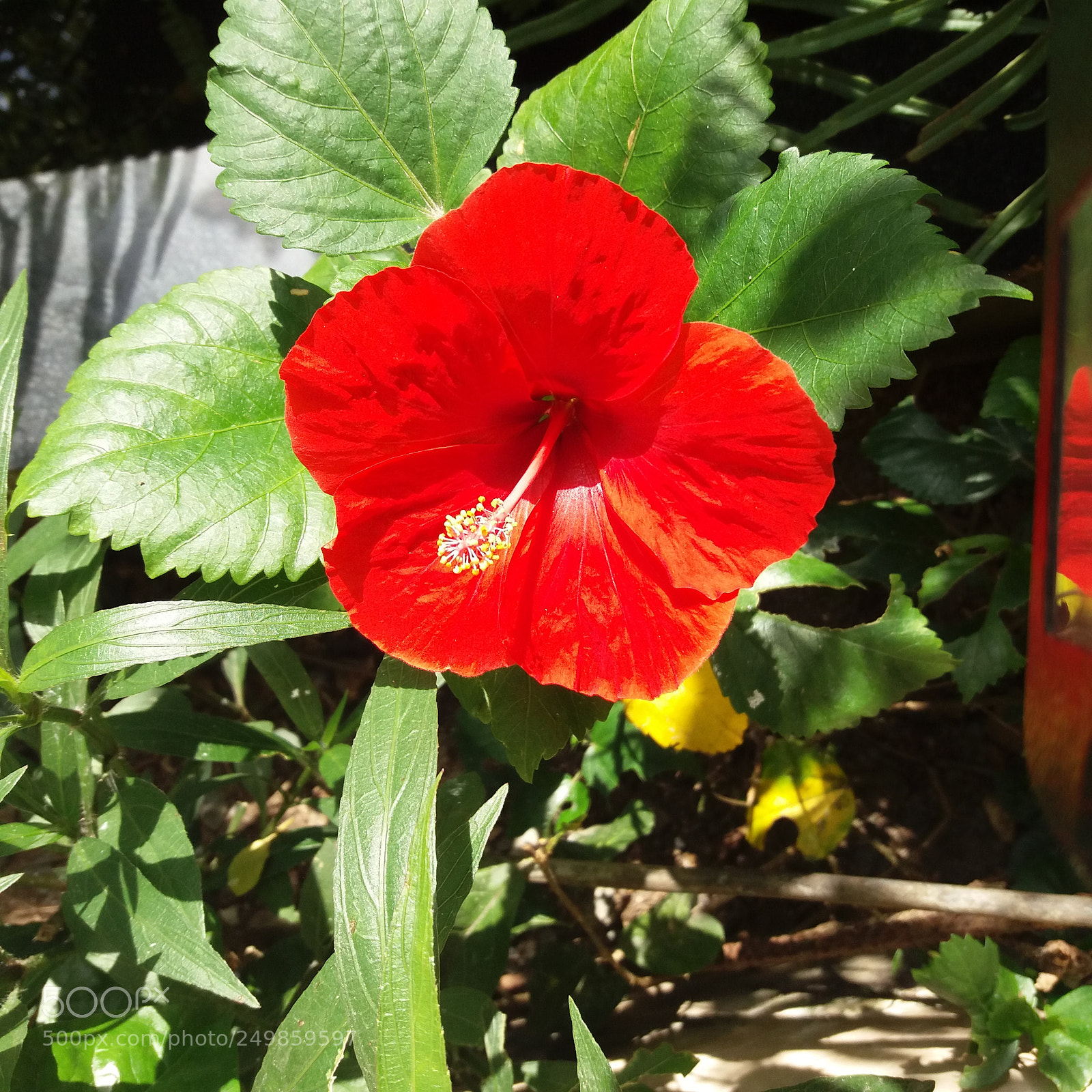 Samsung Galaxy J5(2016) sample photo. Untitled photography