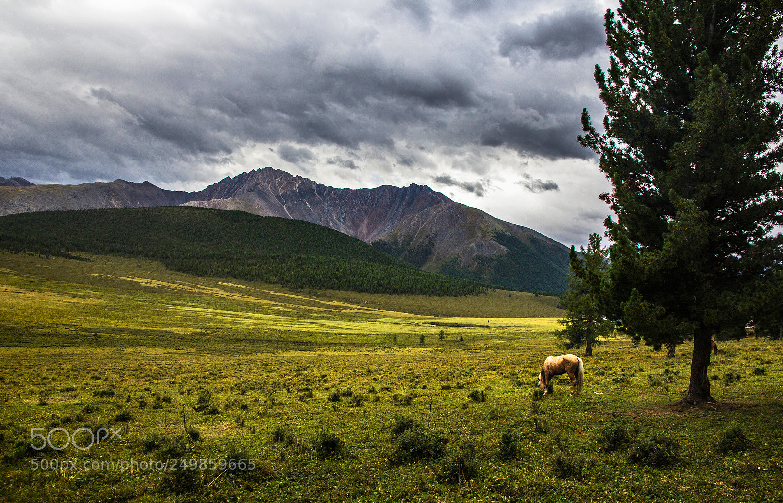 Canon EOS 60D sample photo. Karakol lake with horse photography