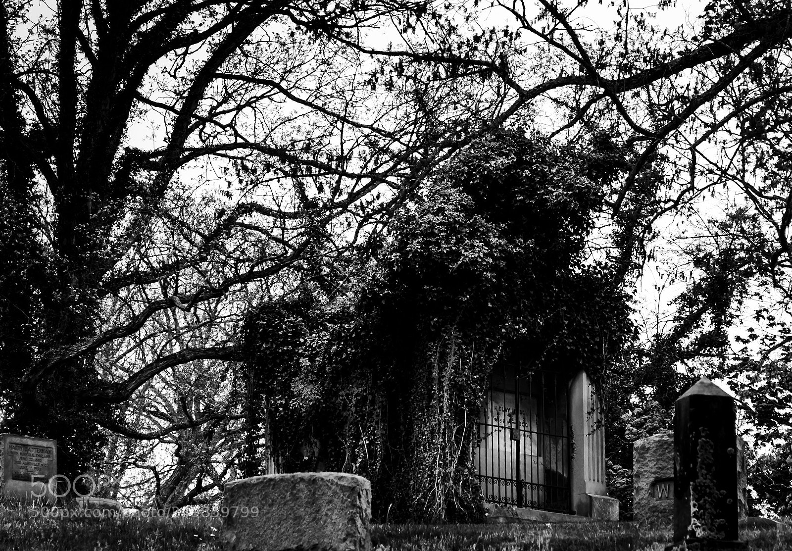 Nikon D5500 sample photo. Eternal rest photography
