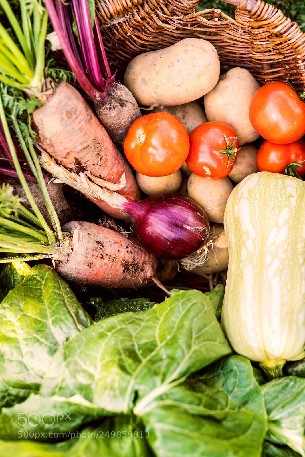 Nikon D5 sample photo. Basket full of vegetables photography