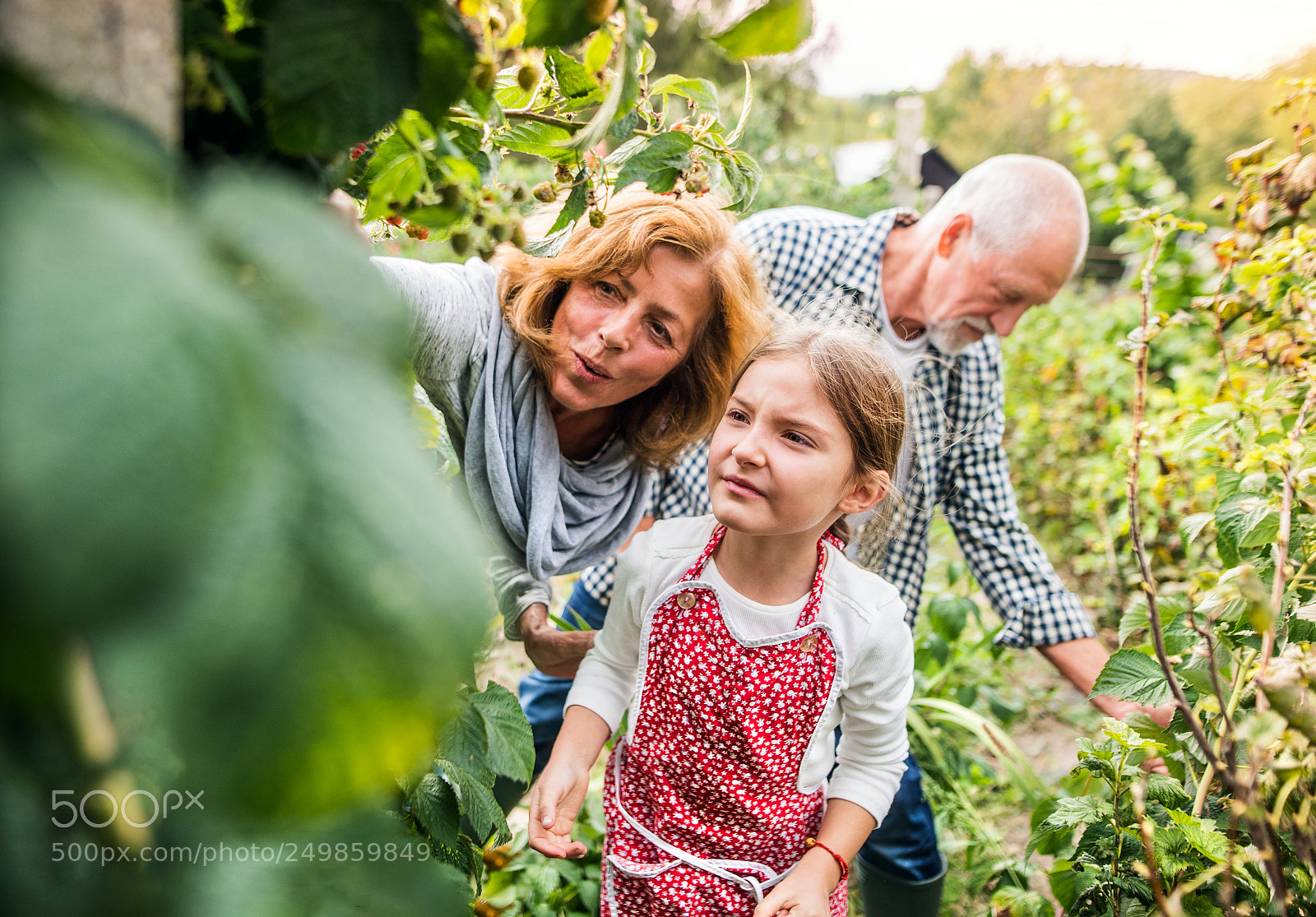 Nikon D5 sample photo. Senior couple with granddaughter photography