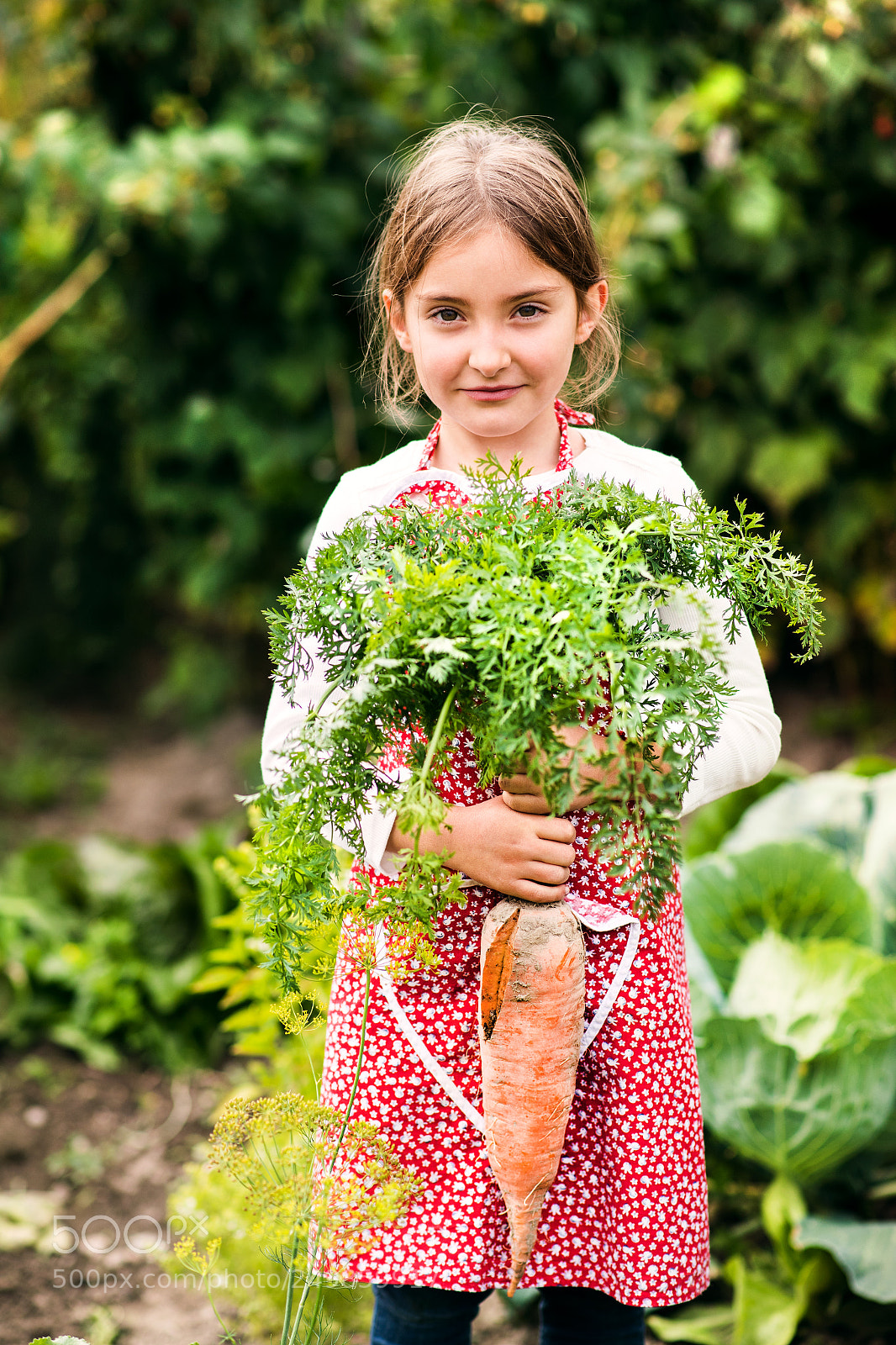 Nikon D5 sample photo. A small girl harvesting photography