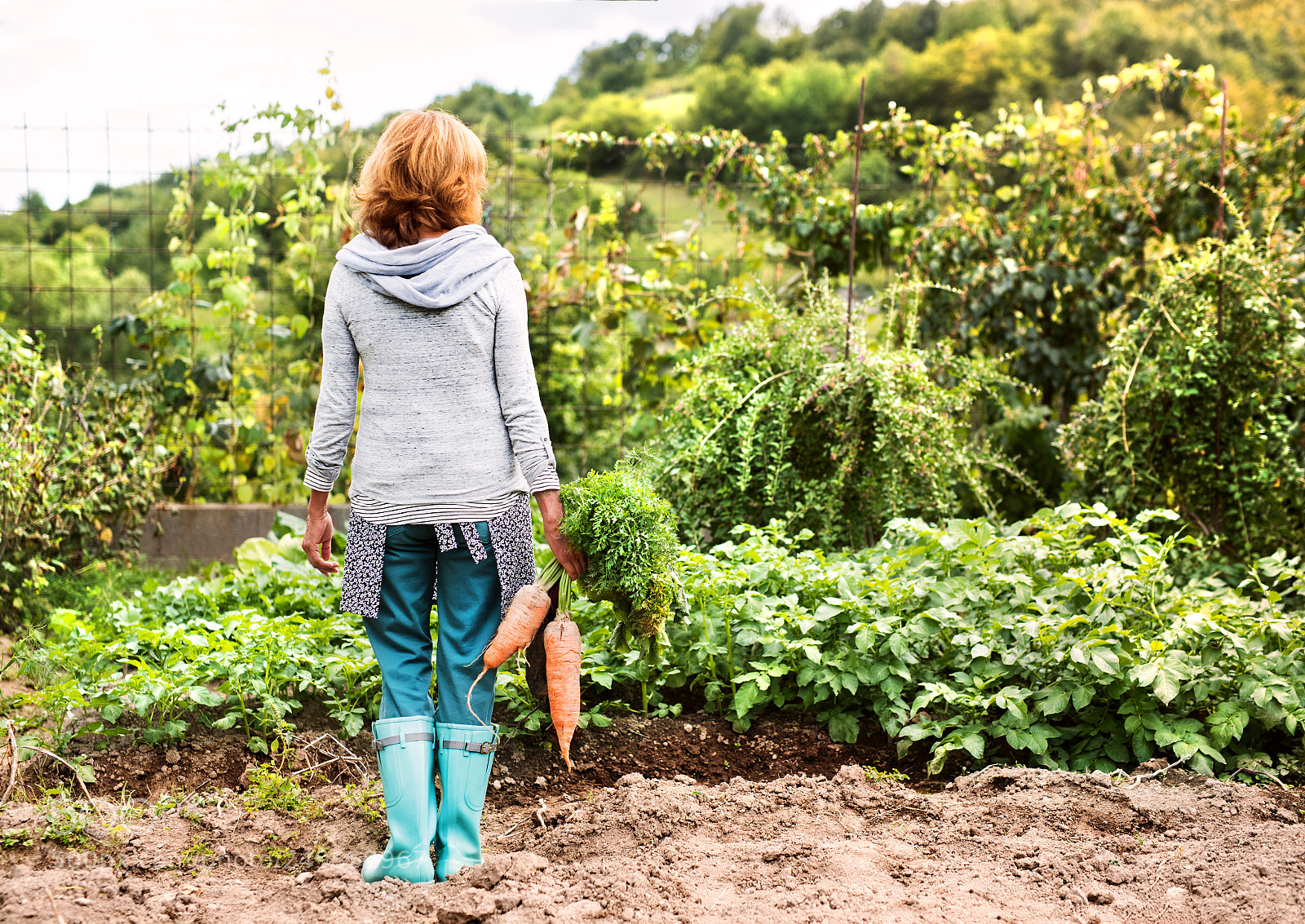 Nikon D5 sample photo. Senior woman gardening in photography