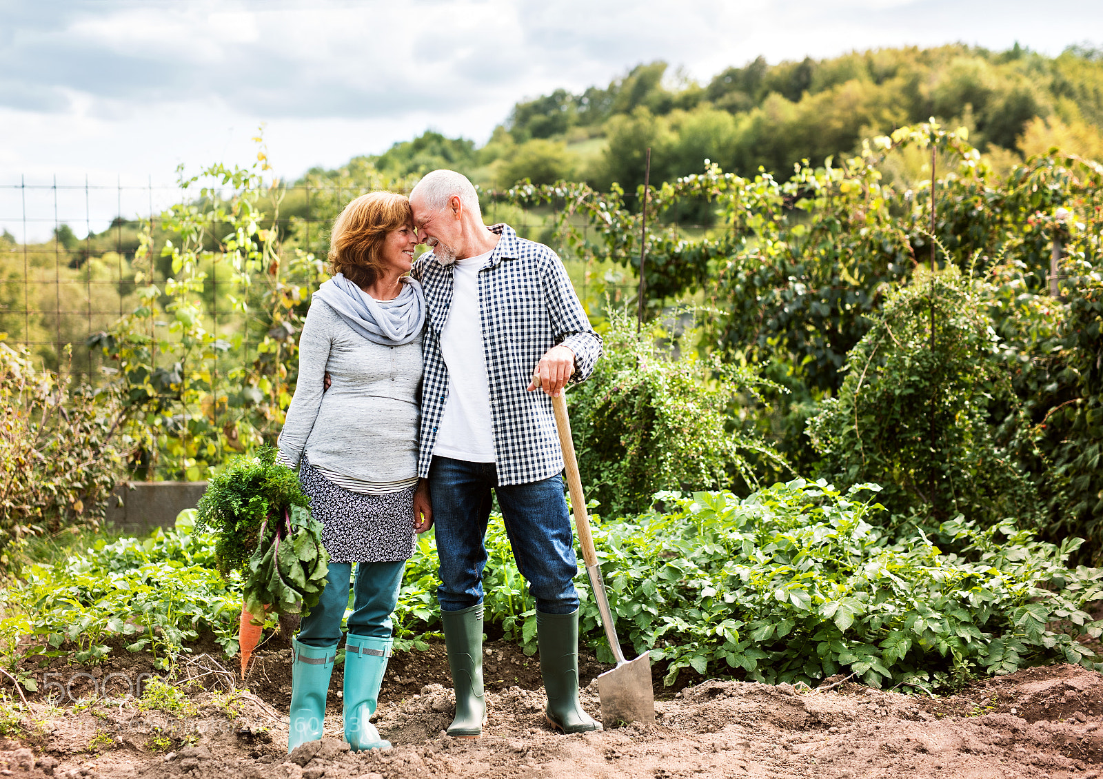 Nikon D5 sample photo. Senior couple gardening in photography