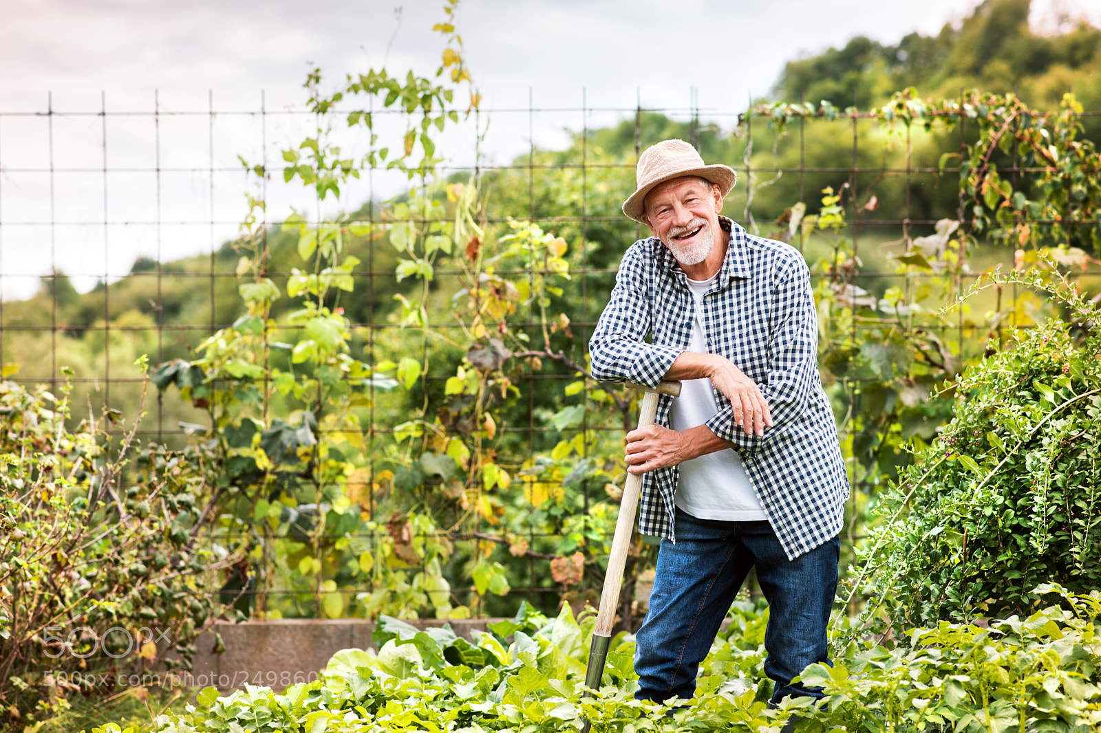 Nikon D5 sample photo. Senior man gardening in photography