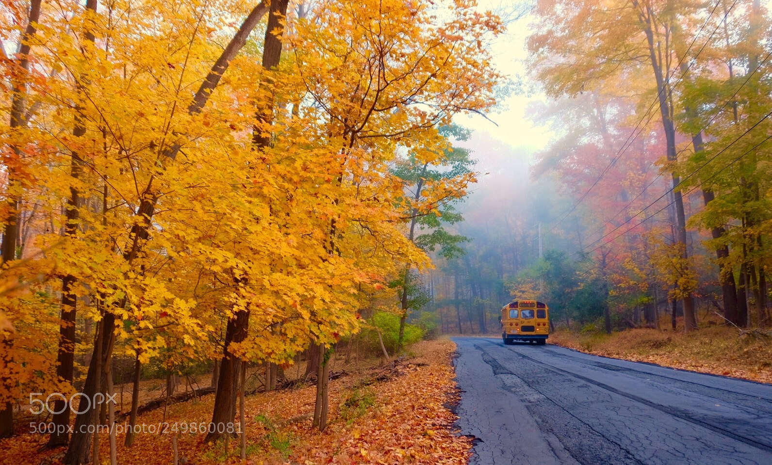 Fujifilm X-T1 sample photo. Moving autumn color photography