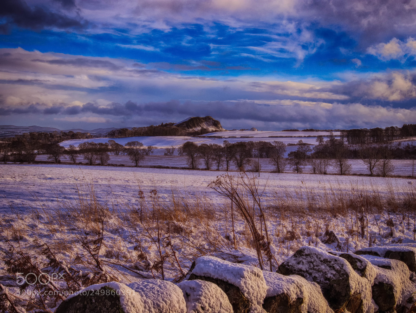 Canon EOS 800D (EOS Rebel T7i / EOS Kiss X9i) sample photo. Binnycraig, scotland. photography