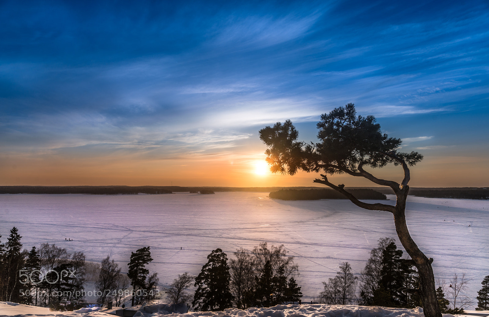 Nikon D610 sample photo. Cold sun photography
