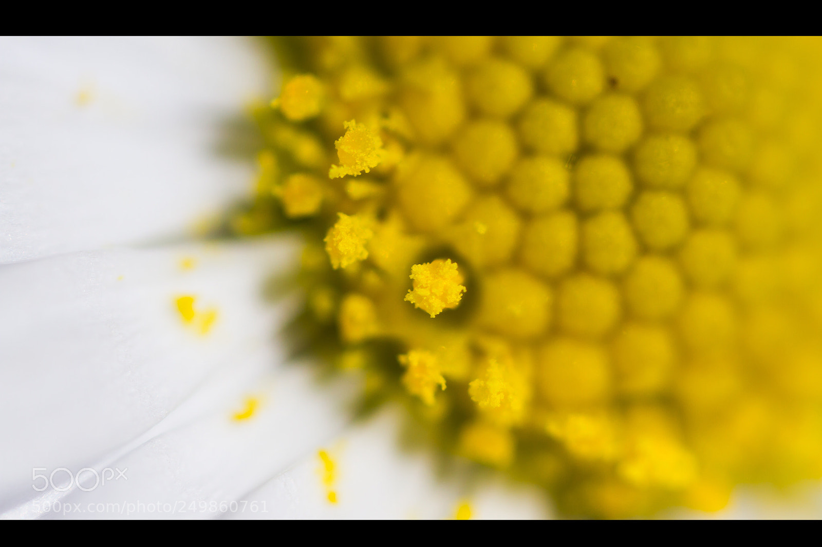 Canon EOS 7D sample photo. Sun photography