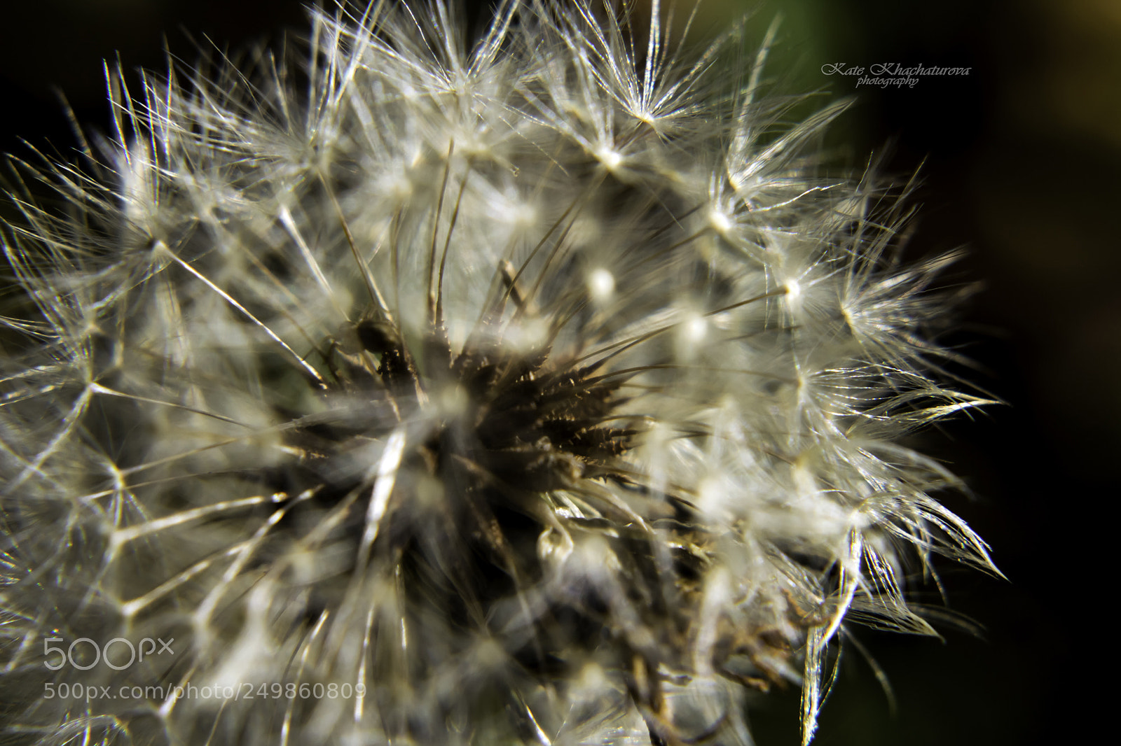 Canon EOS 60D sample photo. Img photography